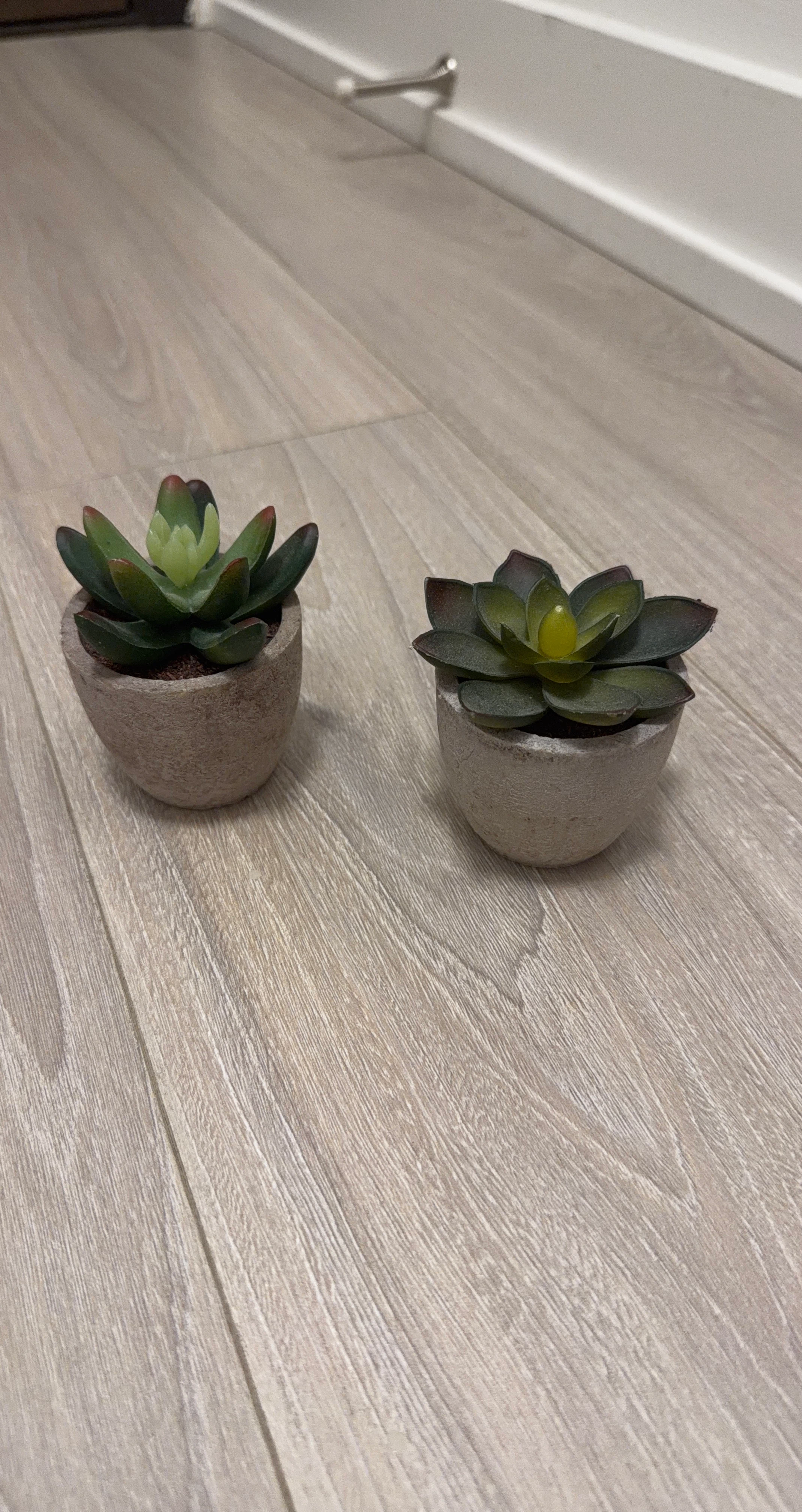 Set of 2 artificial succulant plants