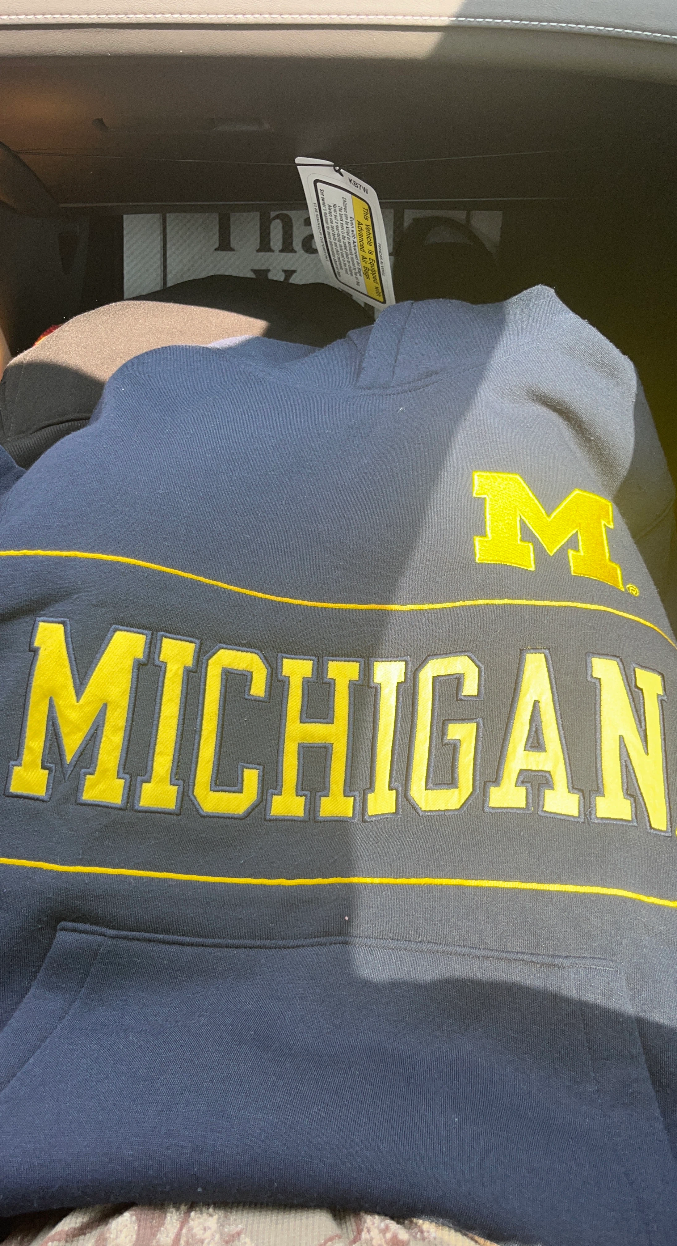 Michigan Wolverines Hoodie
