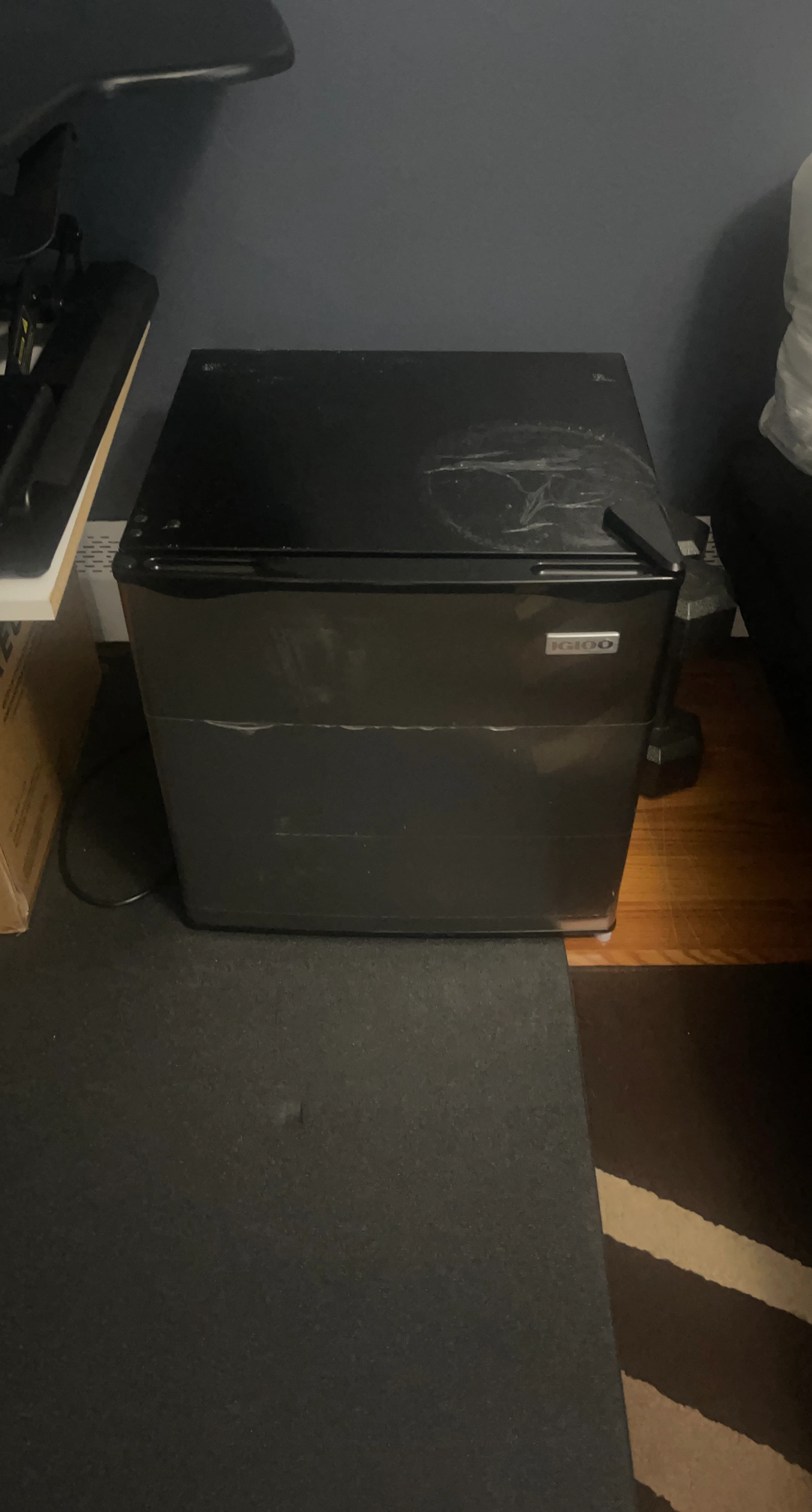Igloo Mini Fridge
