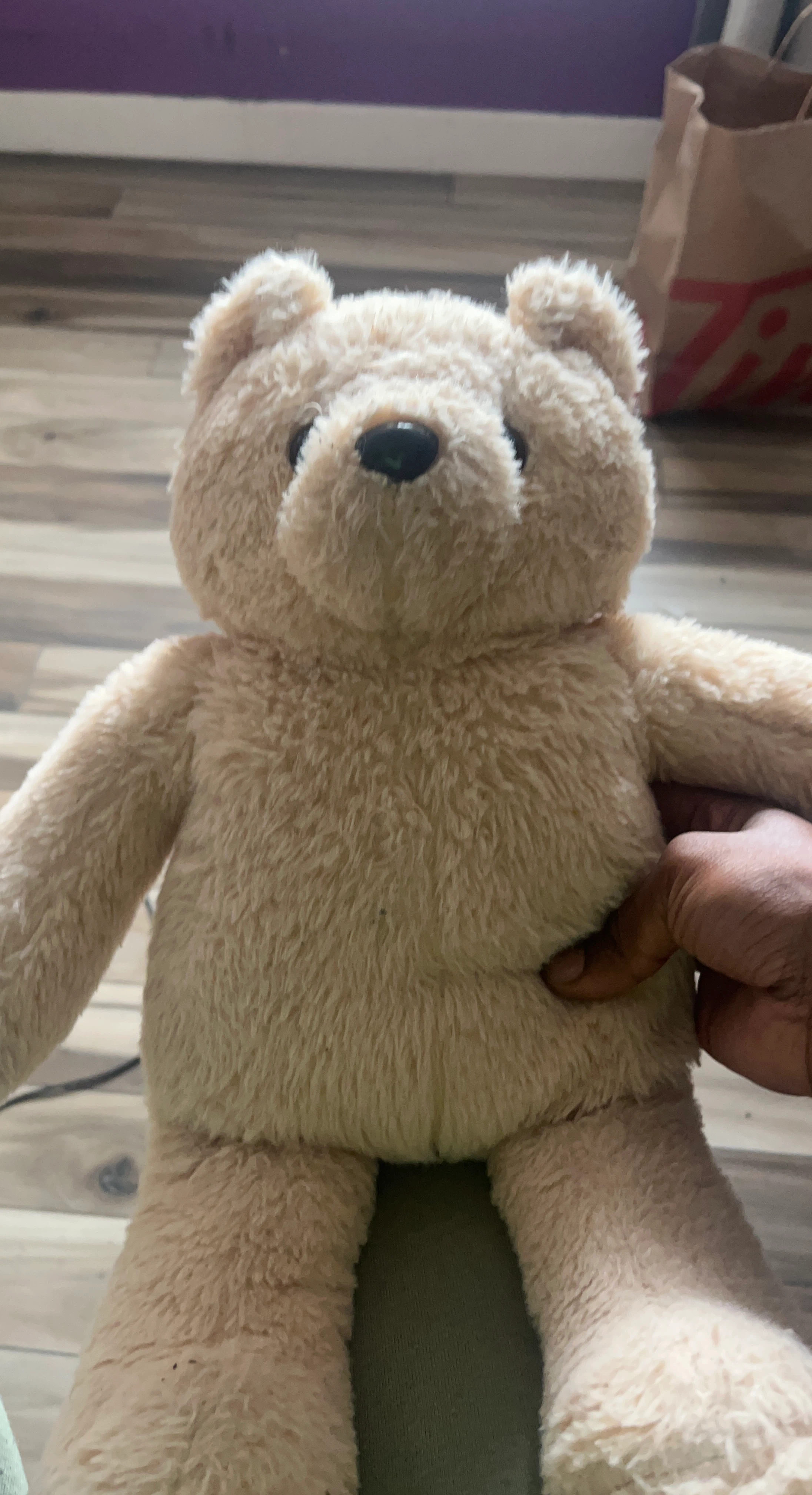 Plush Teddy Bear