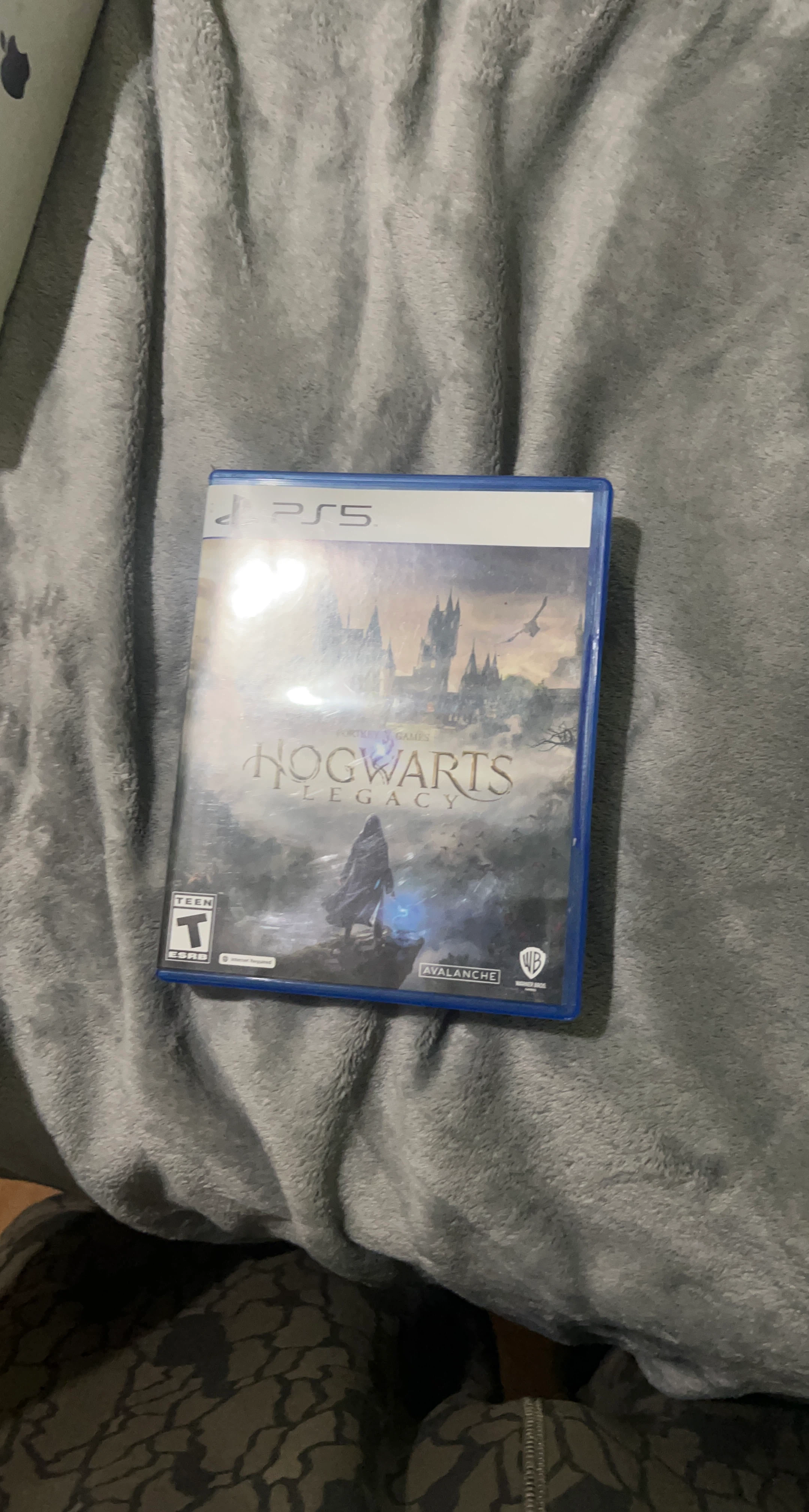 Hogwarts Legacy Video Game for PS5