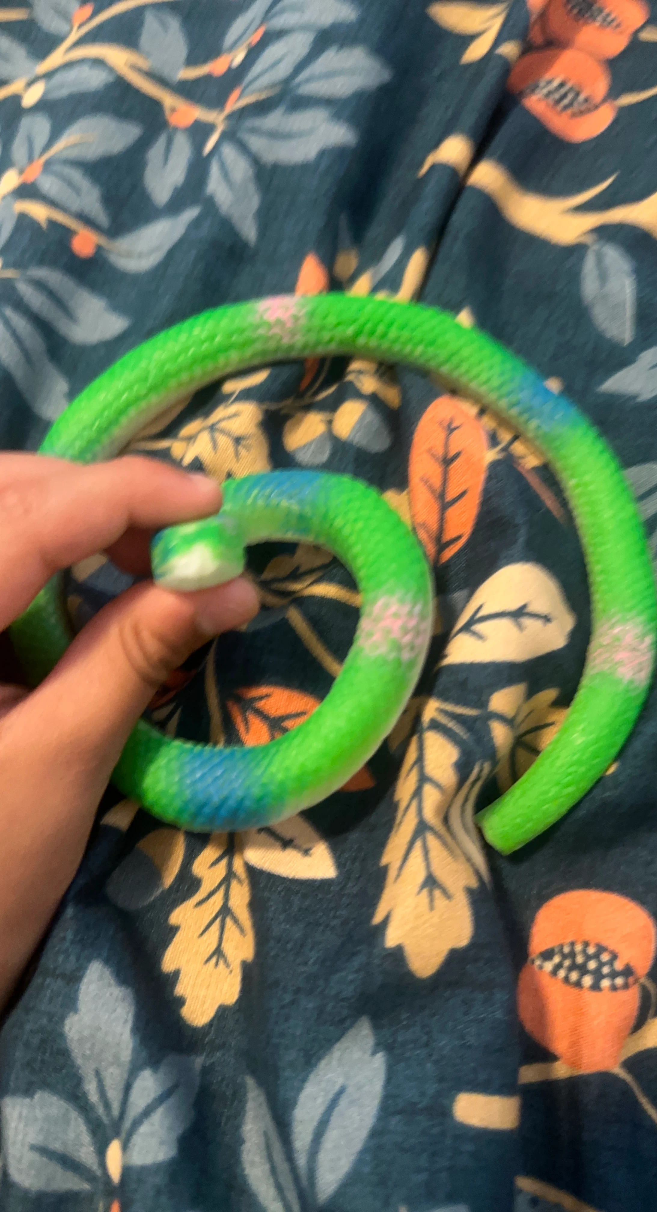 Green Snake Toy’s