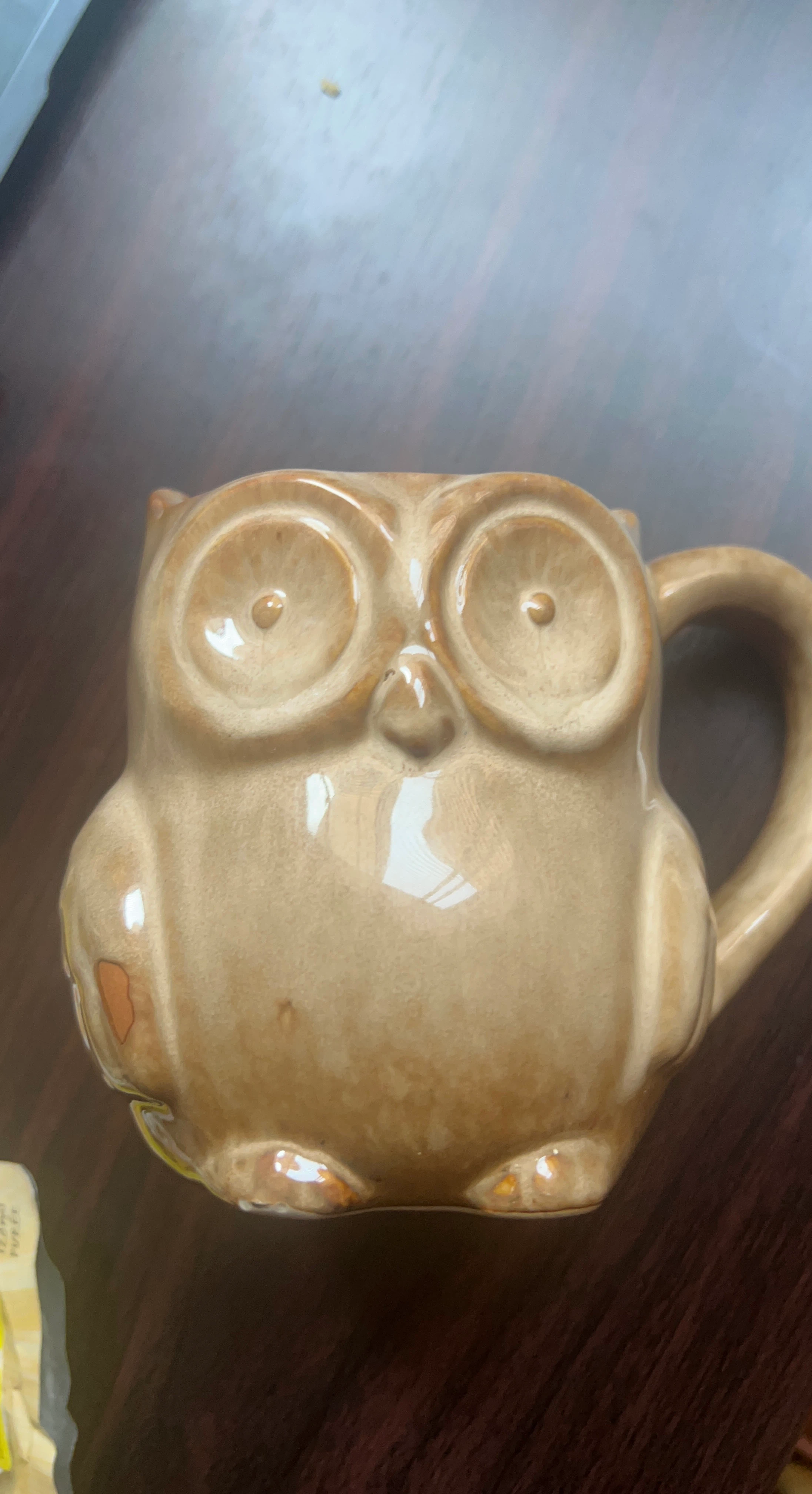 Owl Ceramic Mug