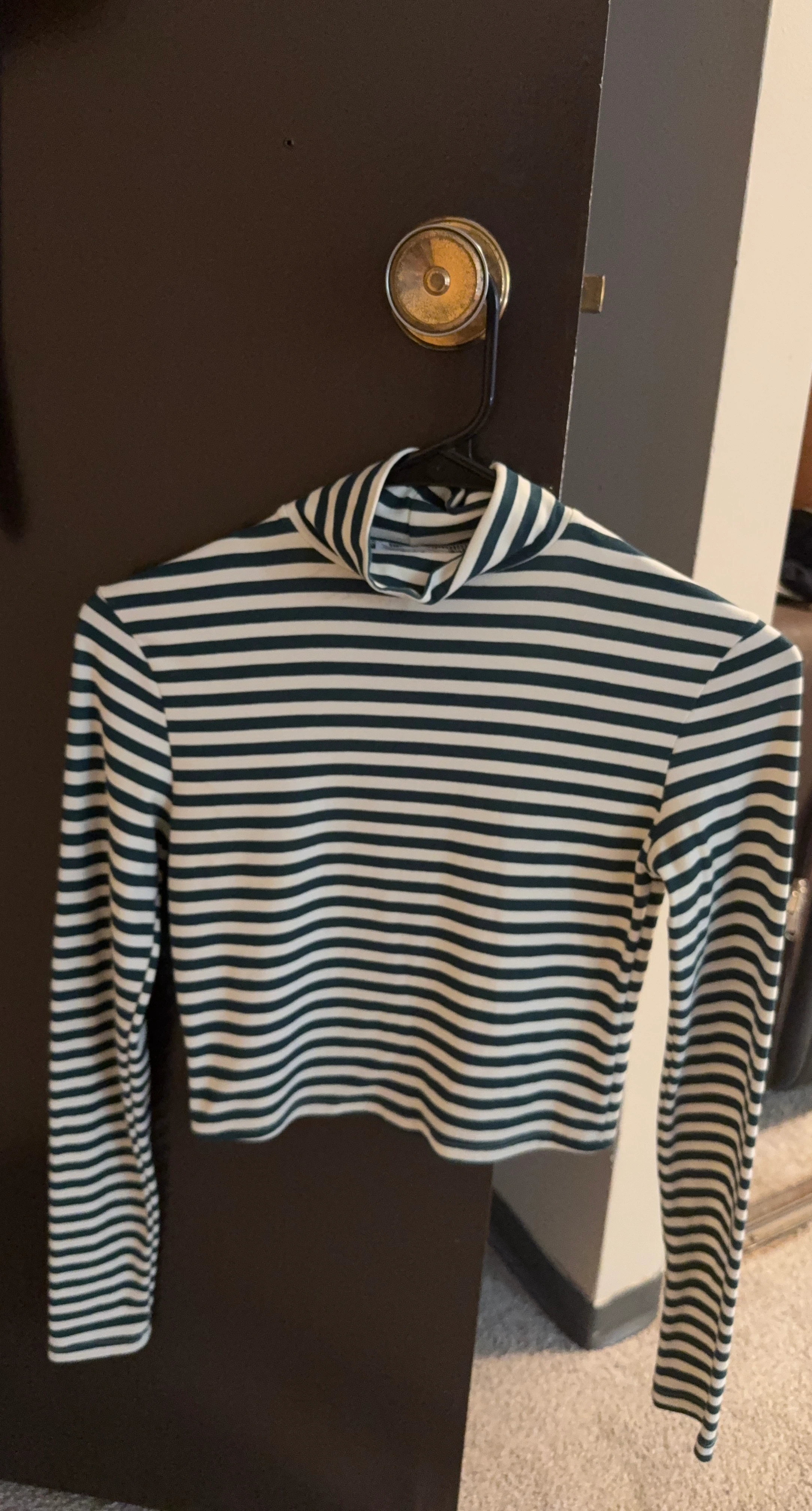 Striped Turtleneck Long Sleeve Top