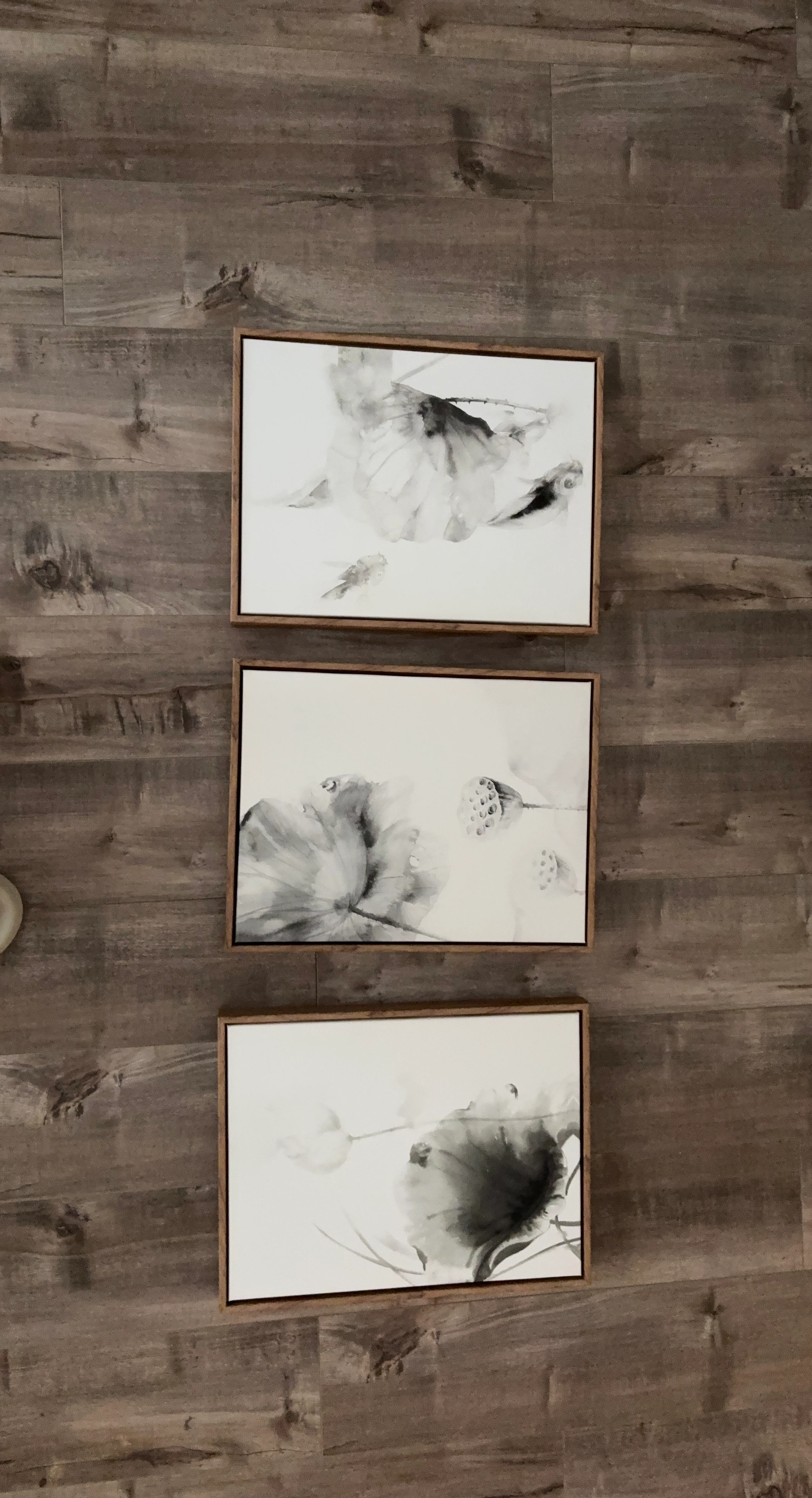 Set of 3 Framed Botanical Art Prints
