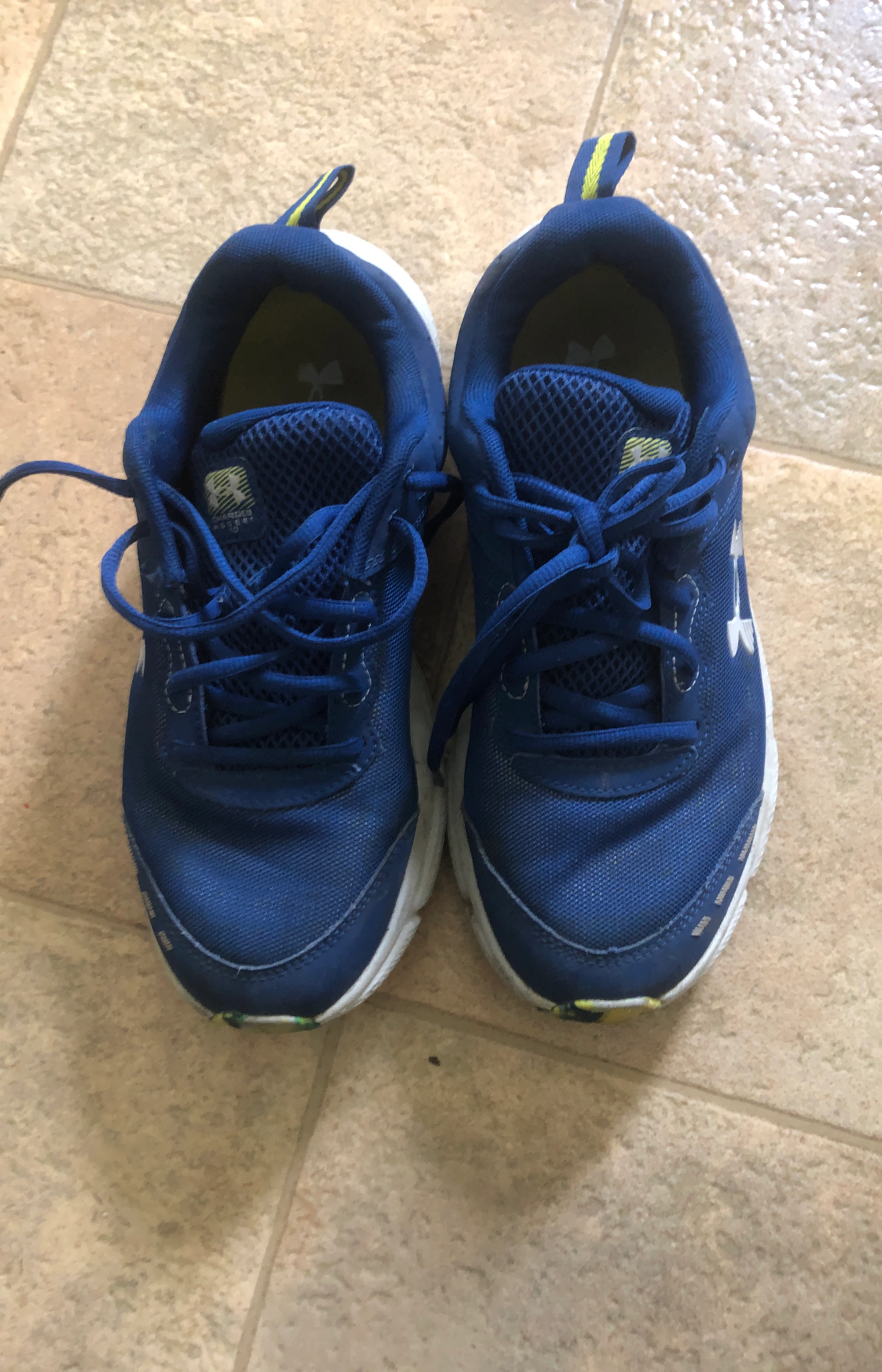 Under Armour Blue Running Shoes