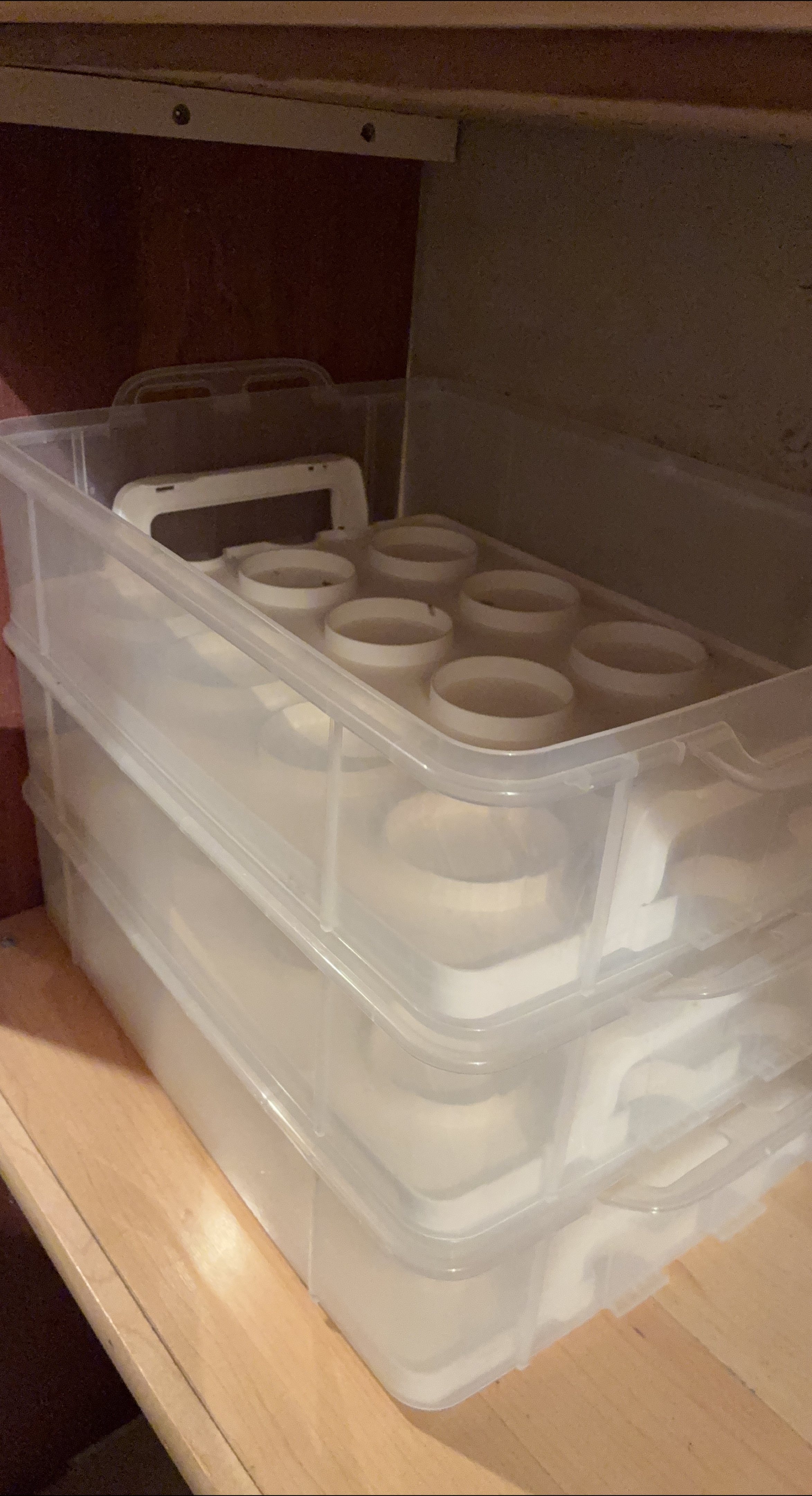 Stackable clear muffin storage bins with lids