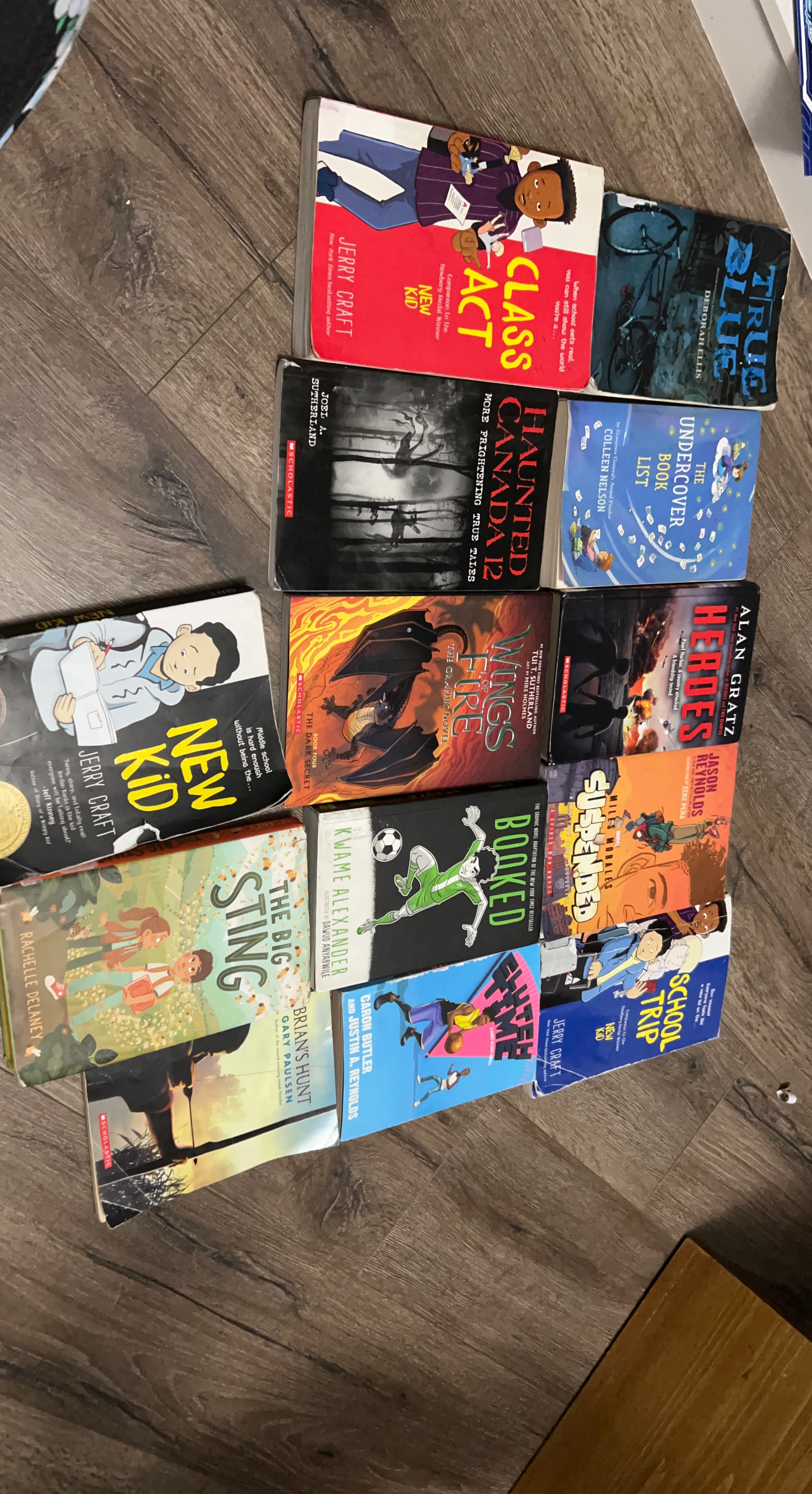 Lot of 12 Children's Books - Jerry Craft, Alan Gratz, and more