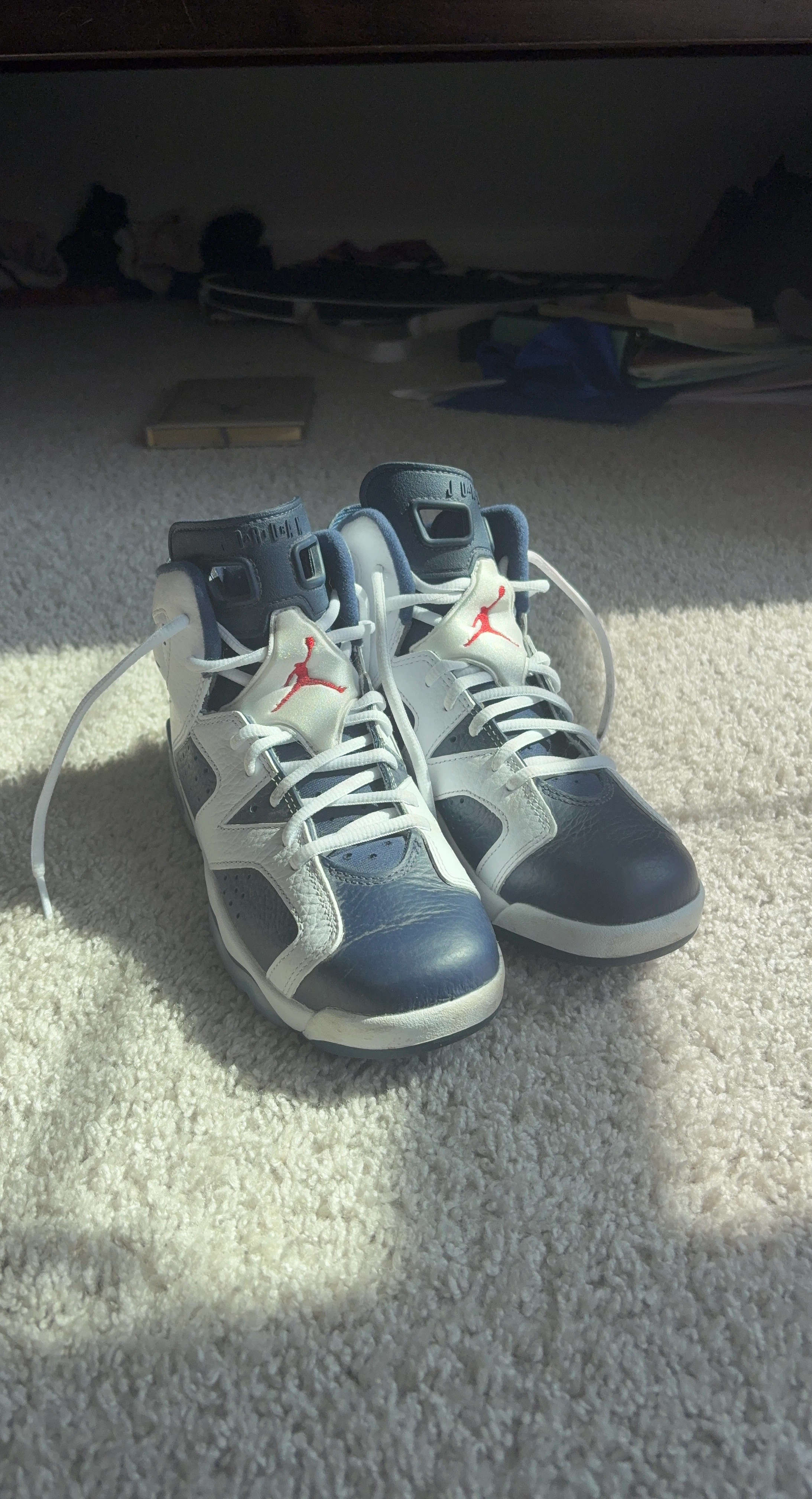 Air Jordan 6 Retro Shoes