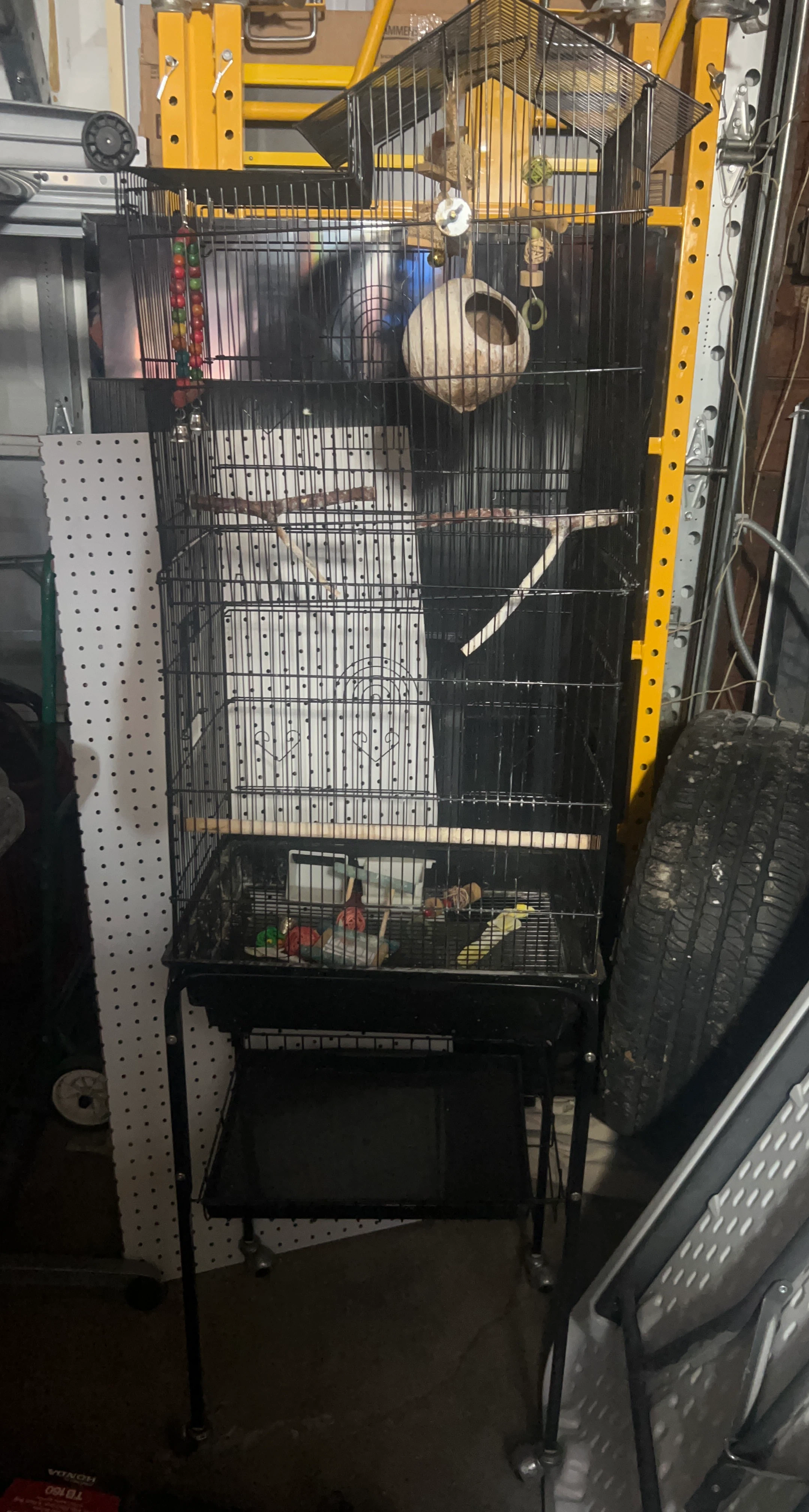Large Black Bird Cage with Accessories