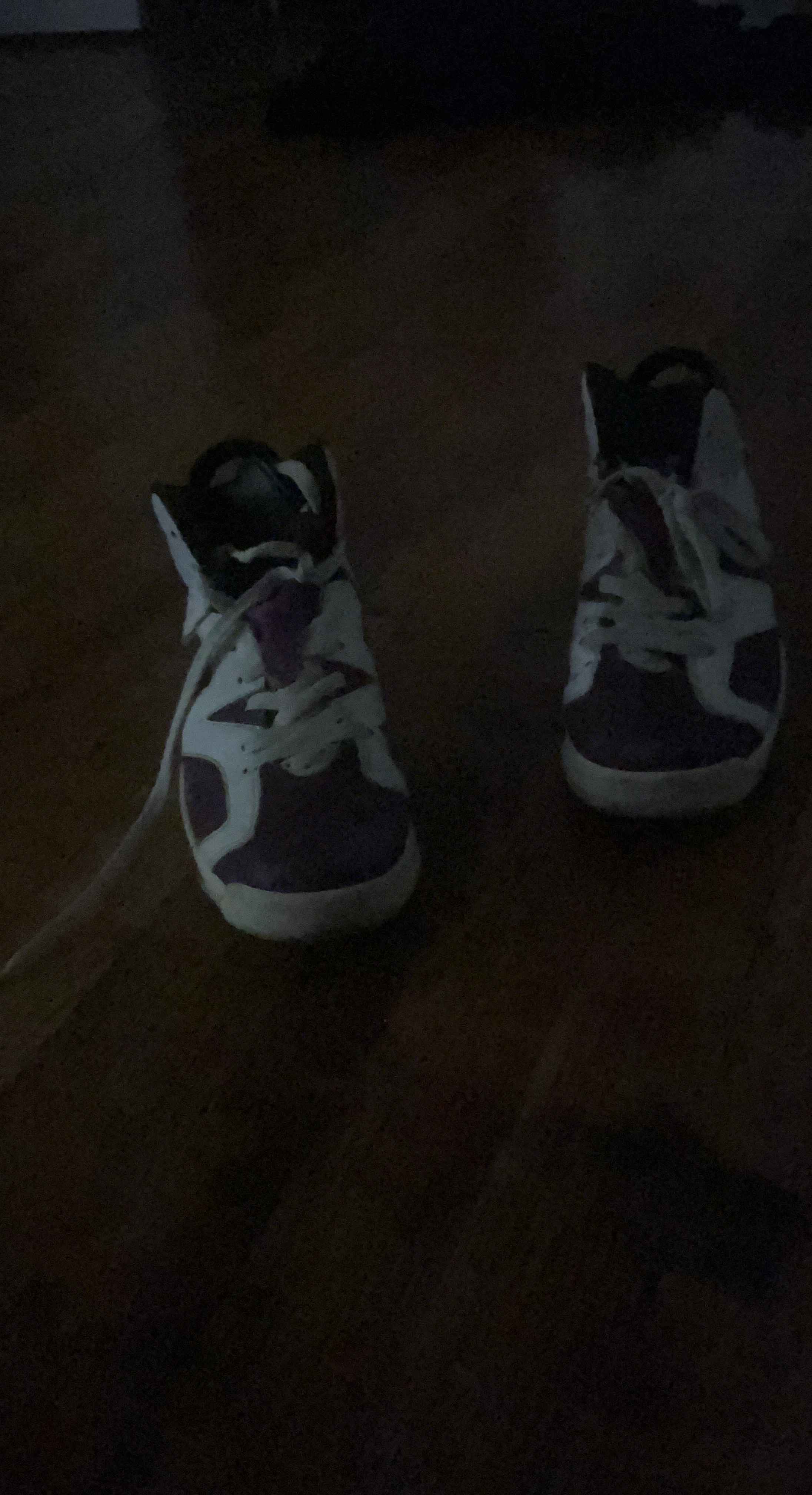 Jordan 6 Retro Sneakers