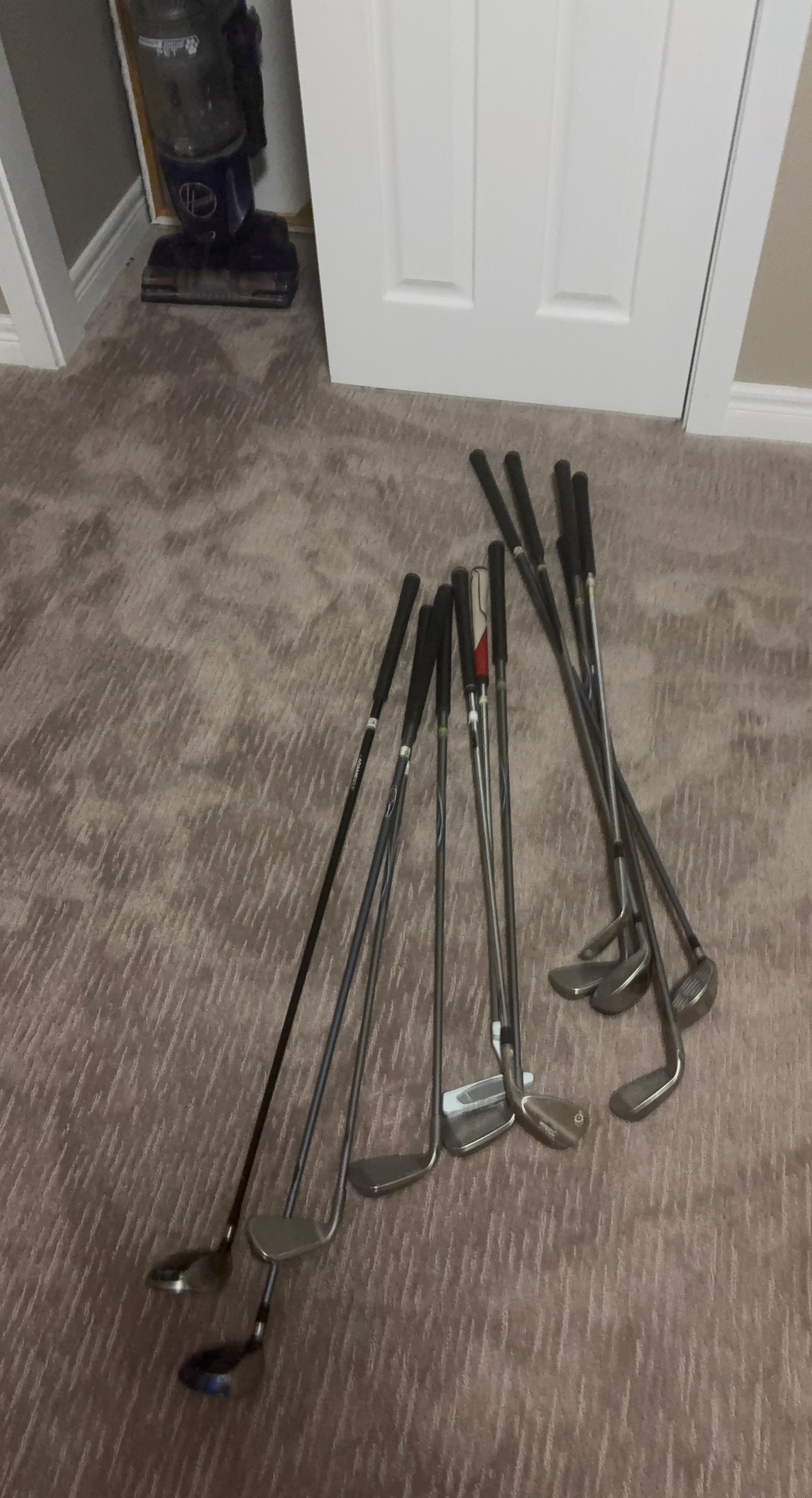 Assorted Golf Club Set