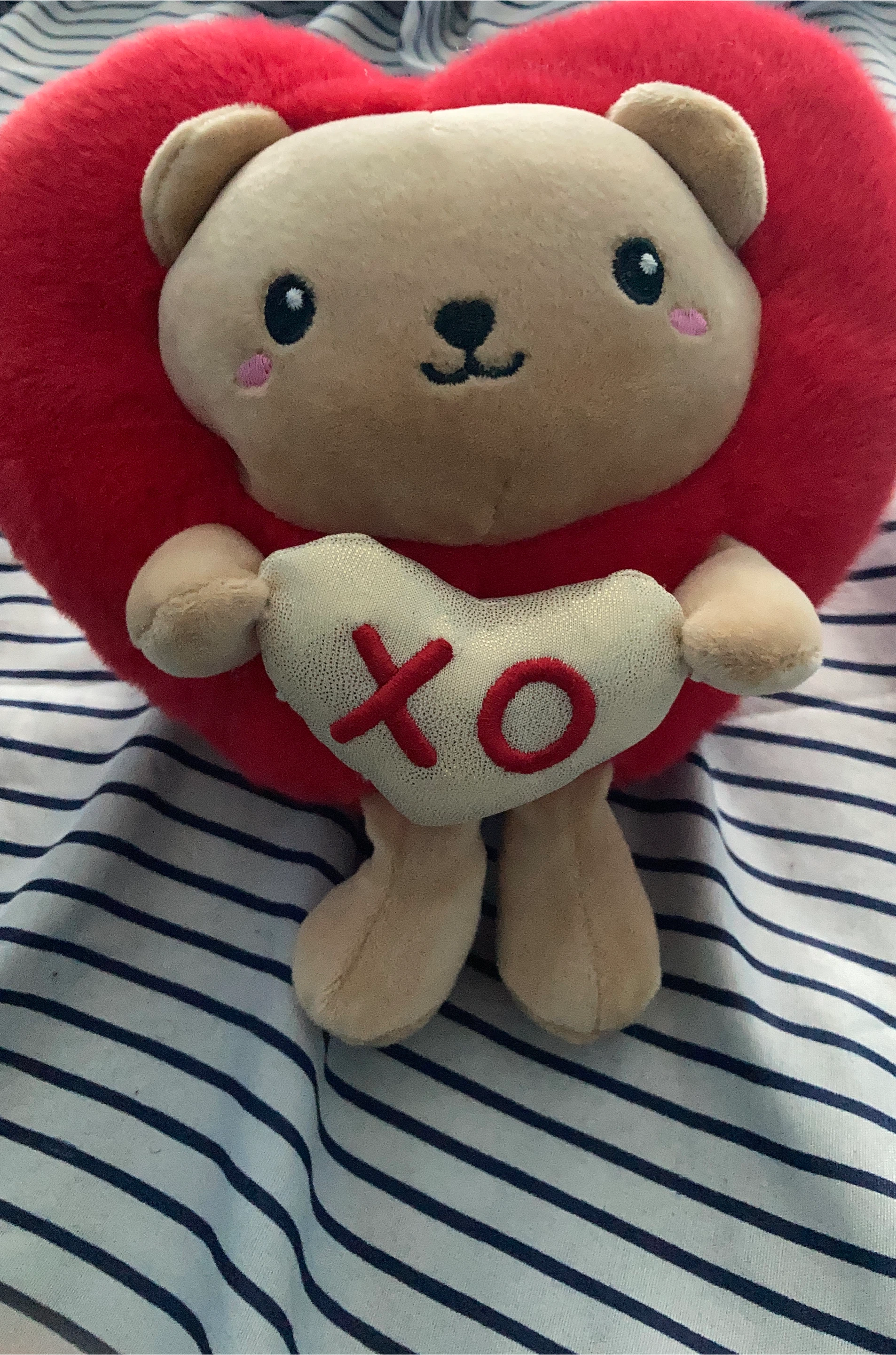 Plush Bear with Heart Pillow