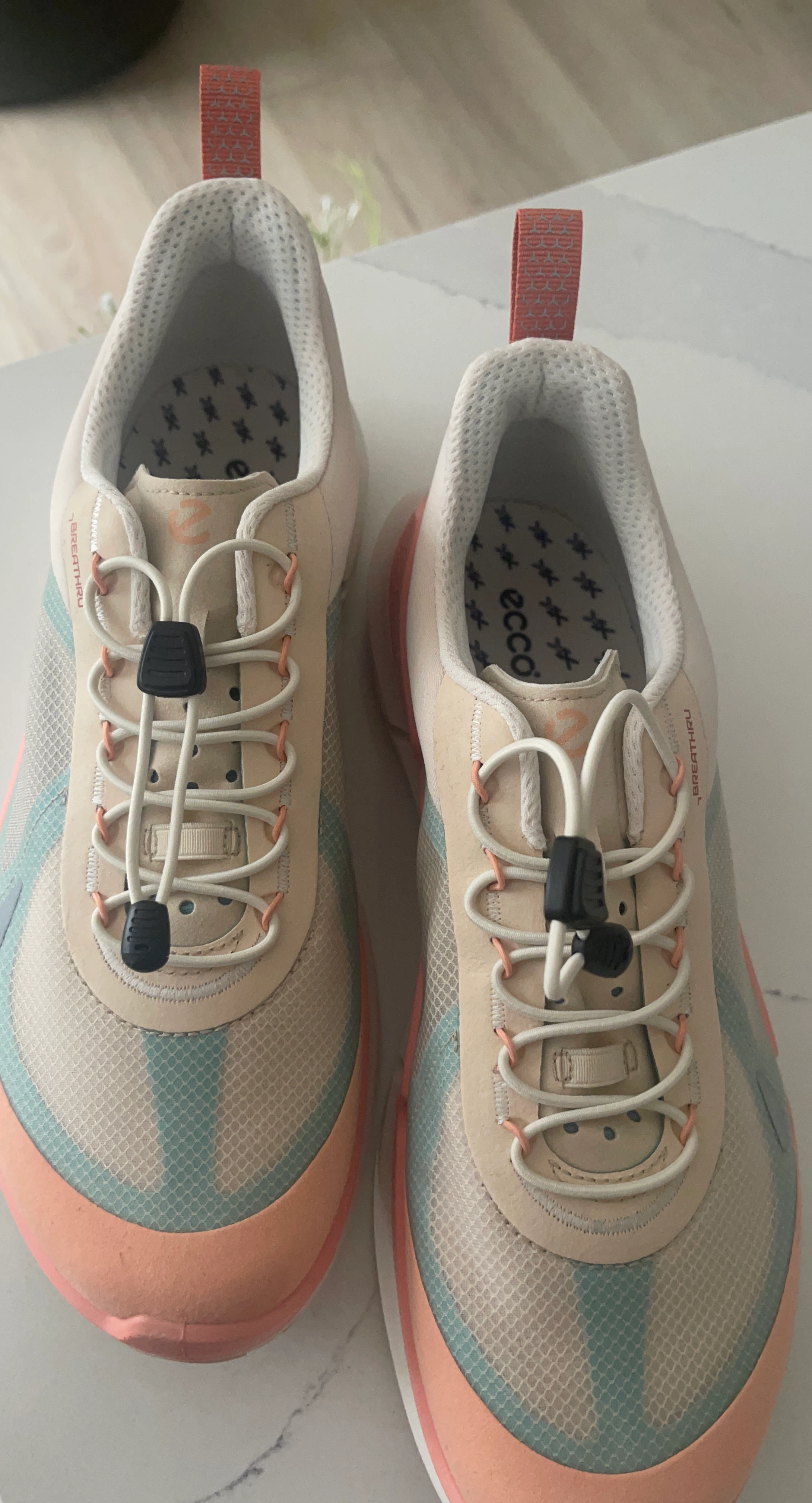 Ecco Biom 2.2 Trainers
