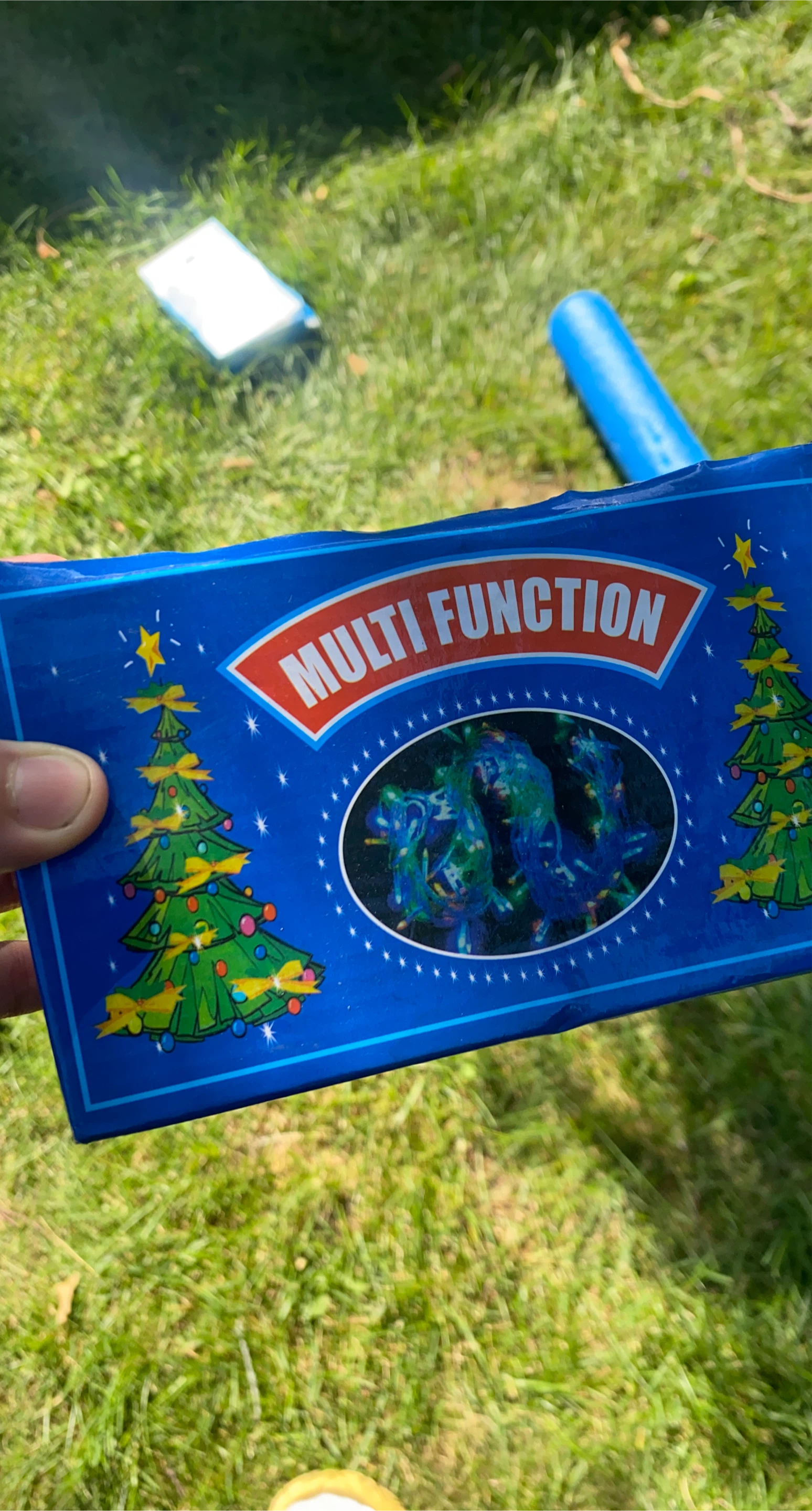 Multi Function Christmas Lights
