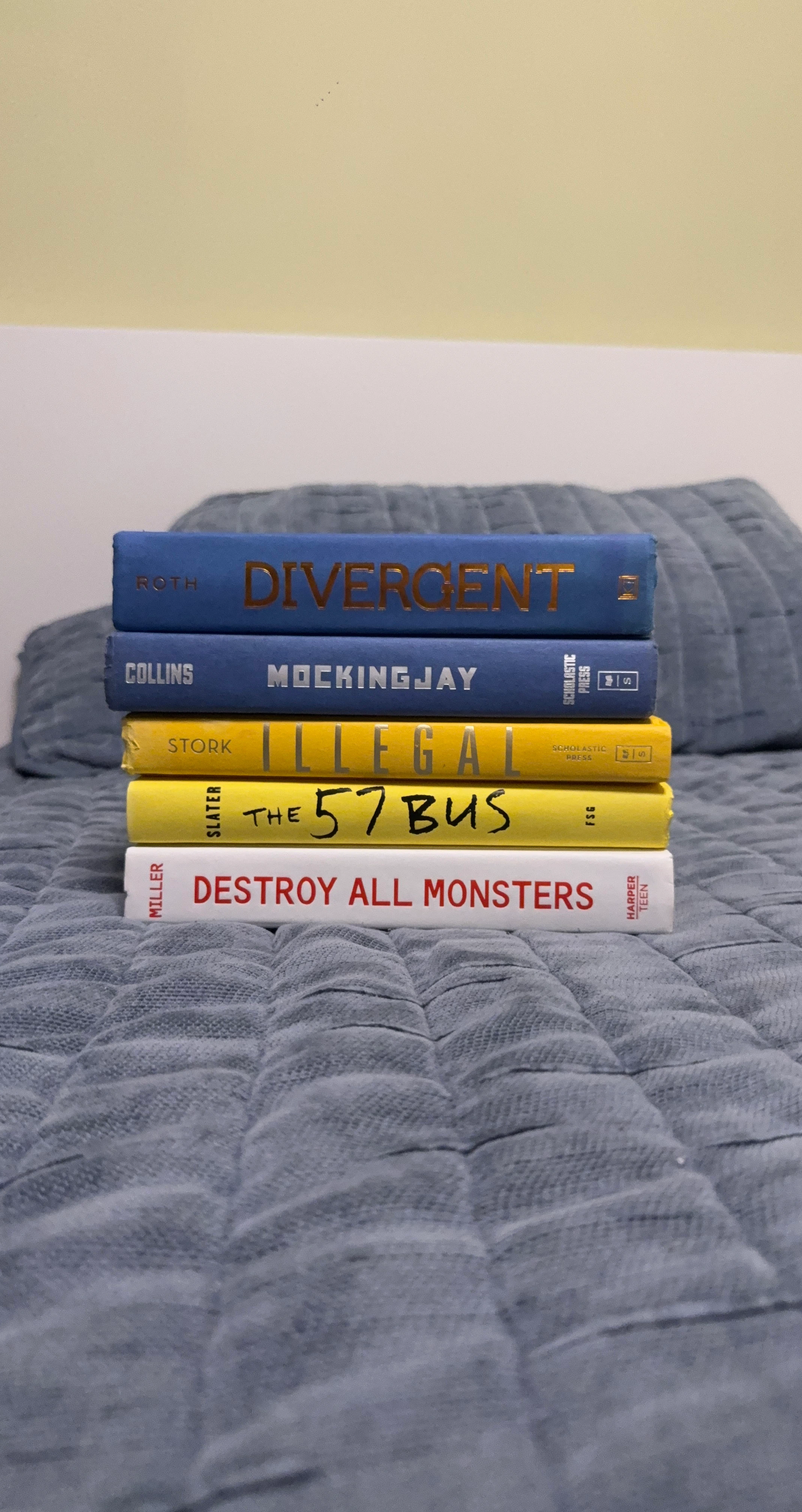 Lot of books, like Divergent, Mockingjay, Illegal