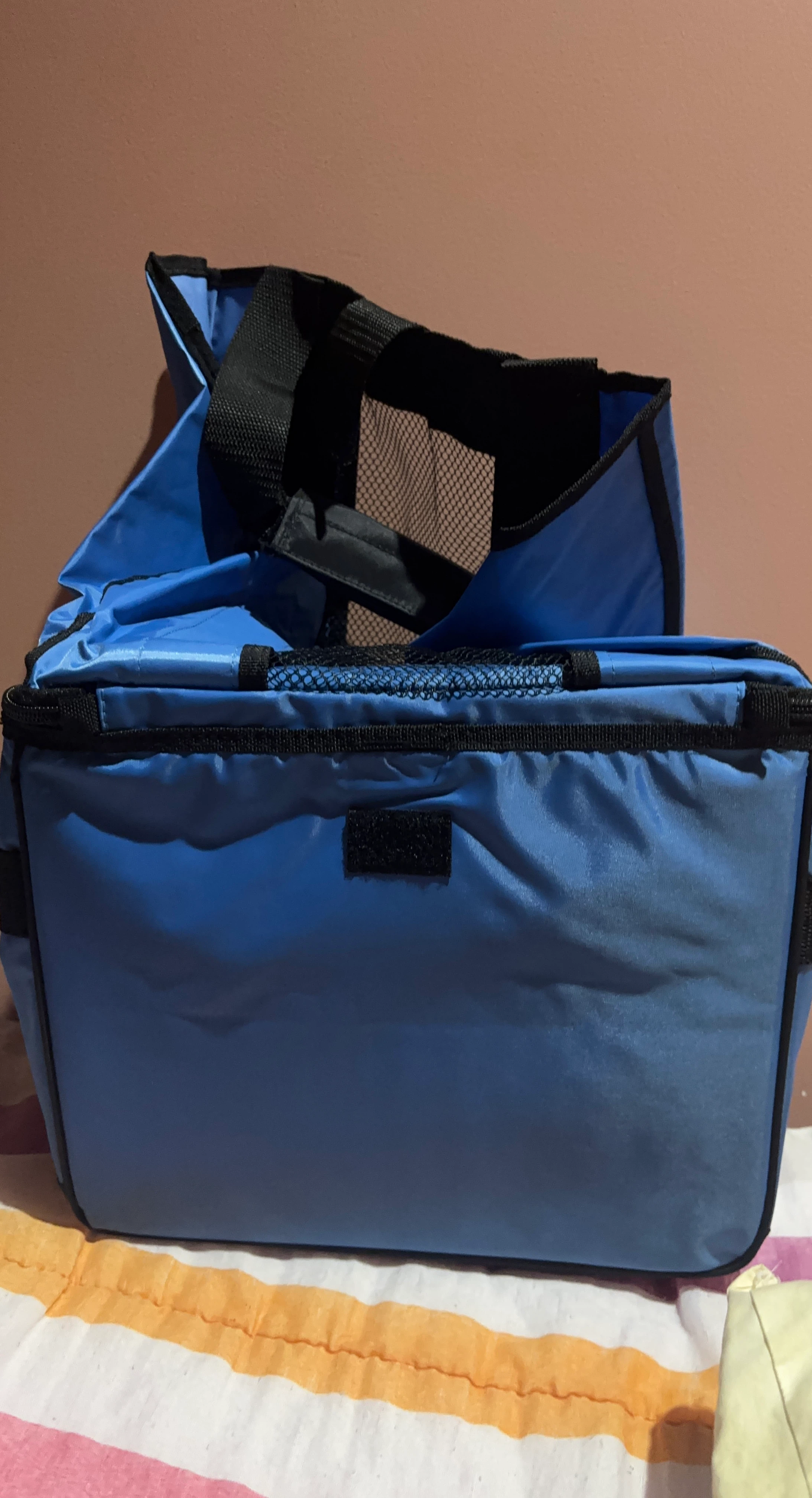 Blue Insulated Cooler Bag