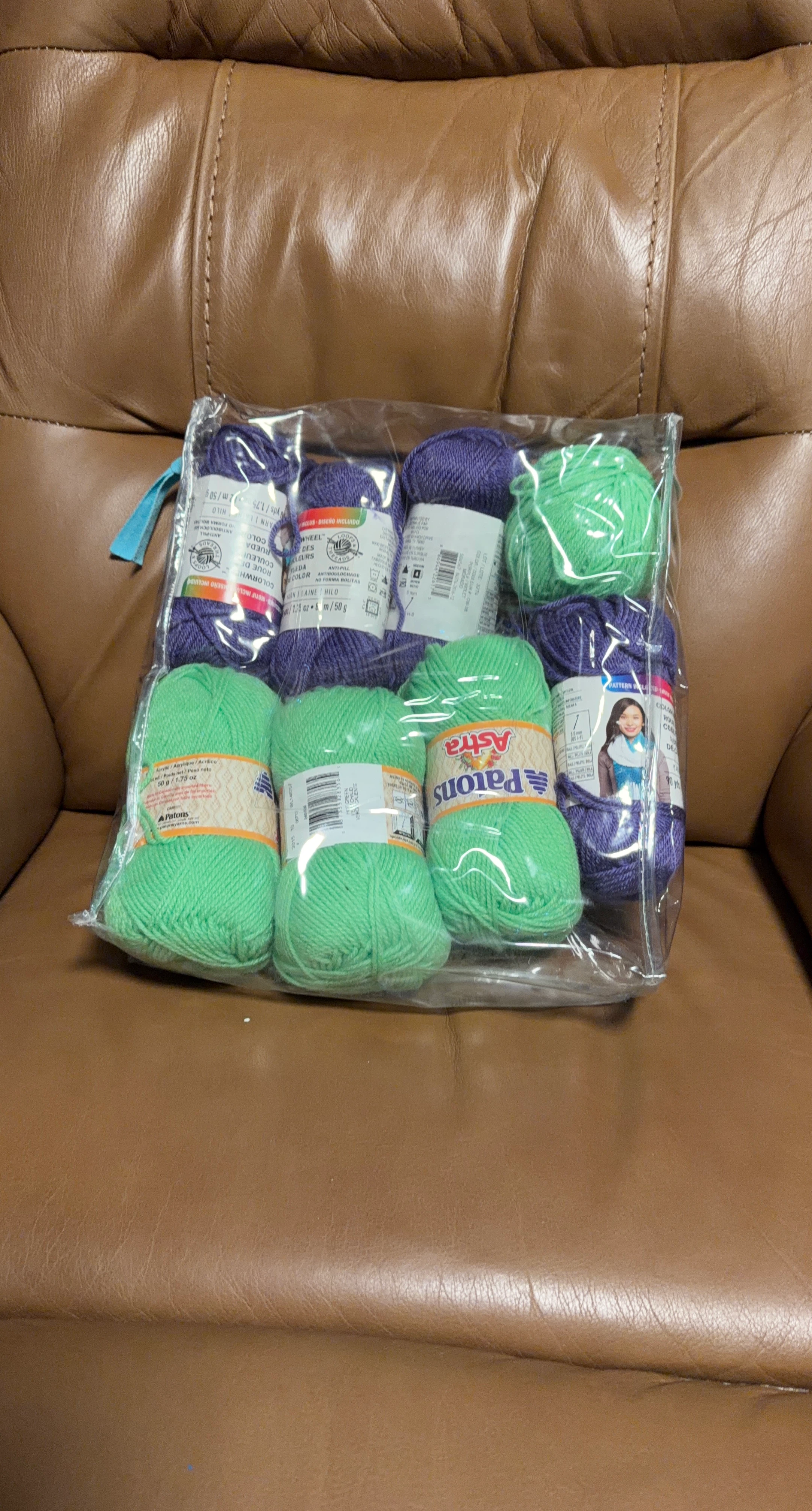 Patons & Astra Yarn Bundle - Purple & Green