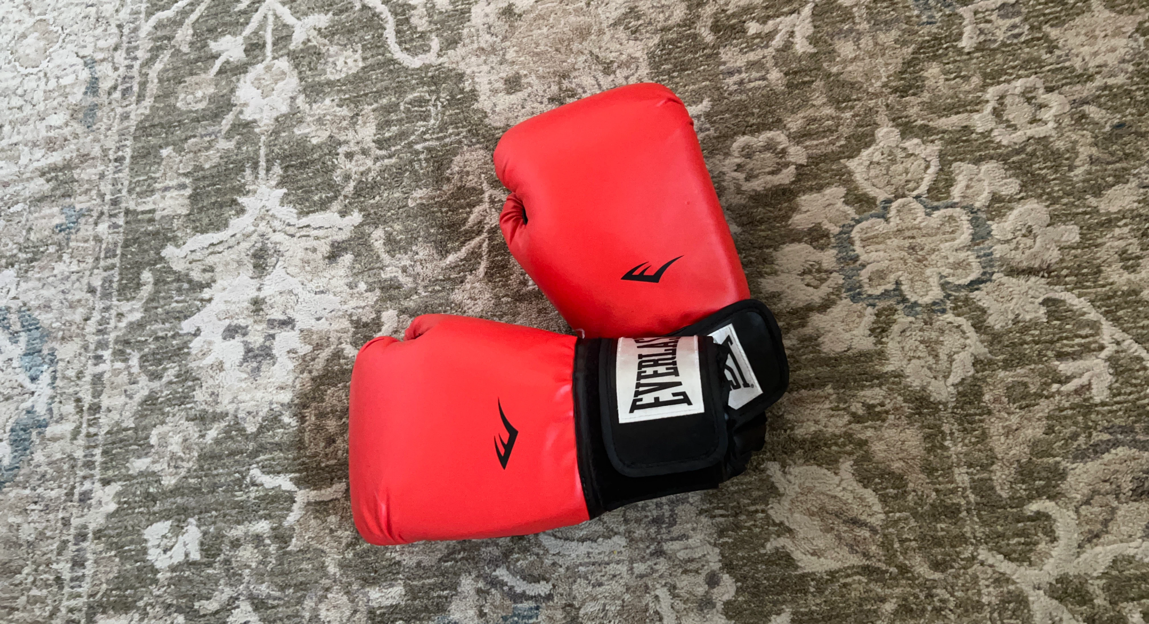Everlast Red Boxing Gloves