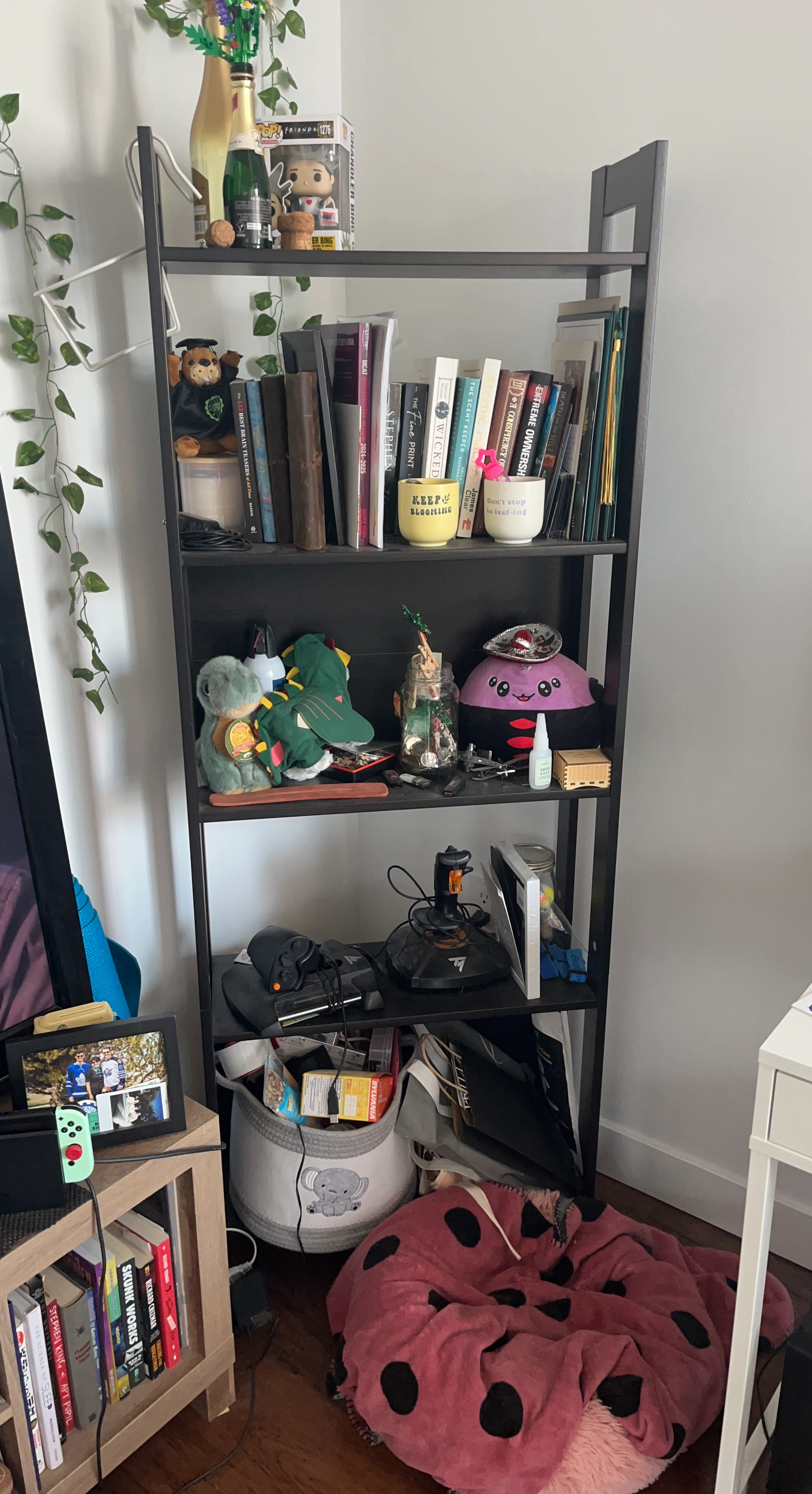 Black/ Dark Brown Bookshelf