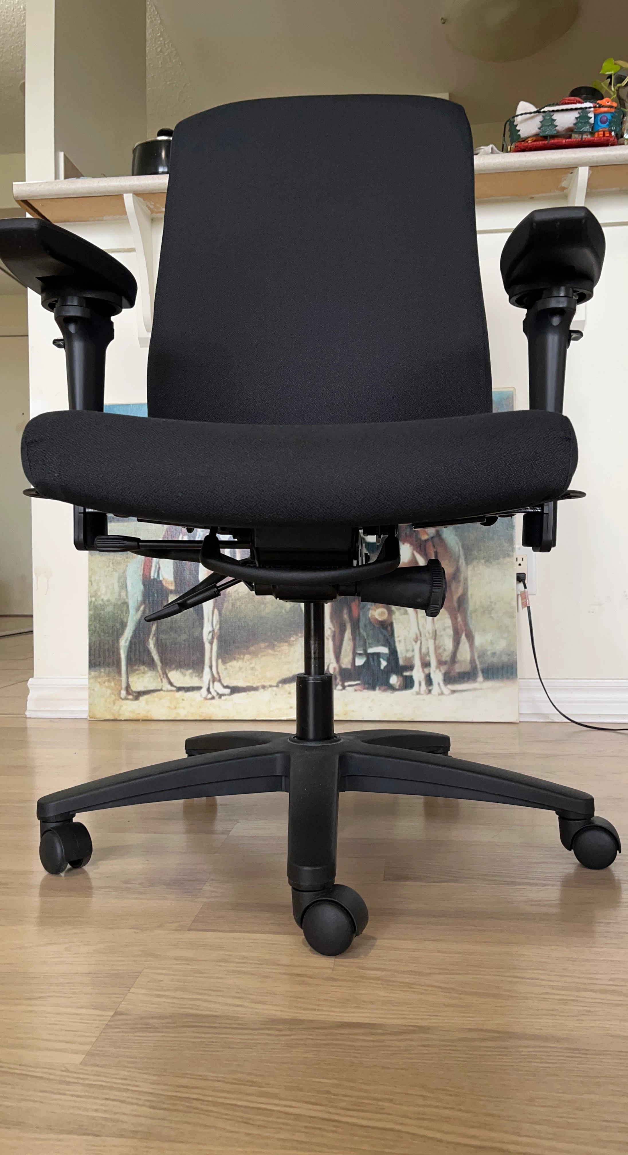 Ergocentric brand Office Chair – Adjustable Armrests & Seat