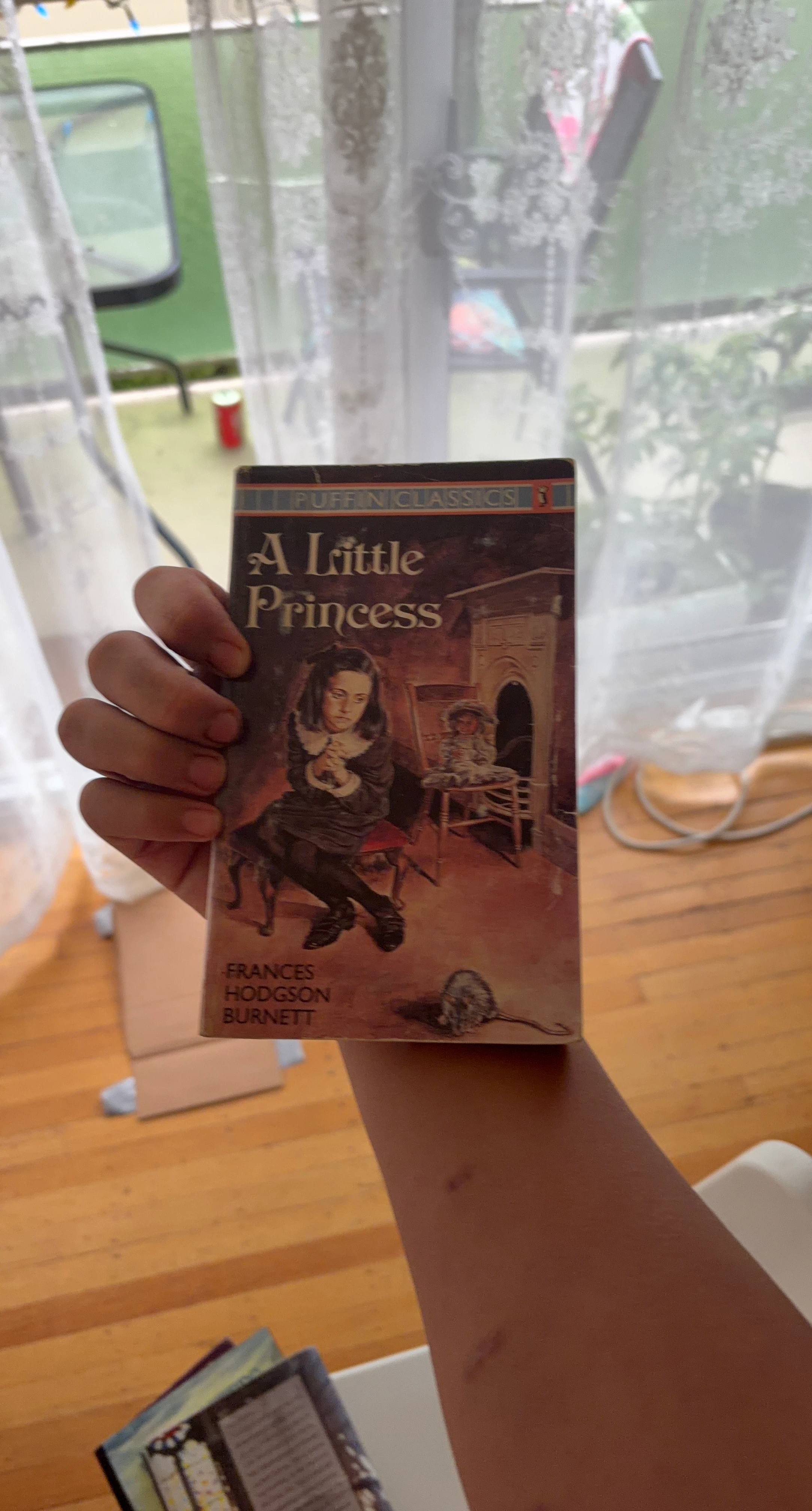 A Little Princess book by Frances Hodgson Burnett