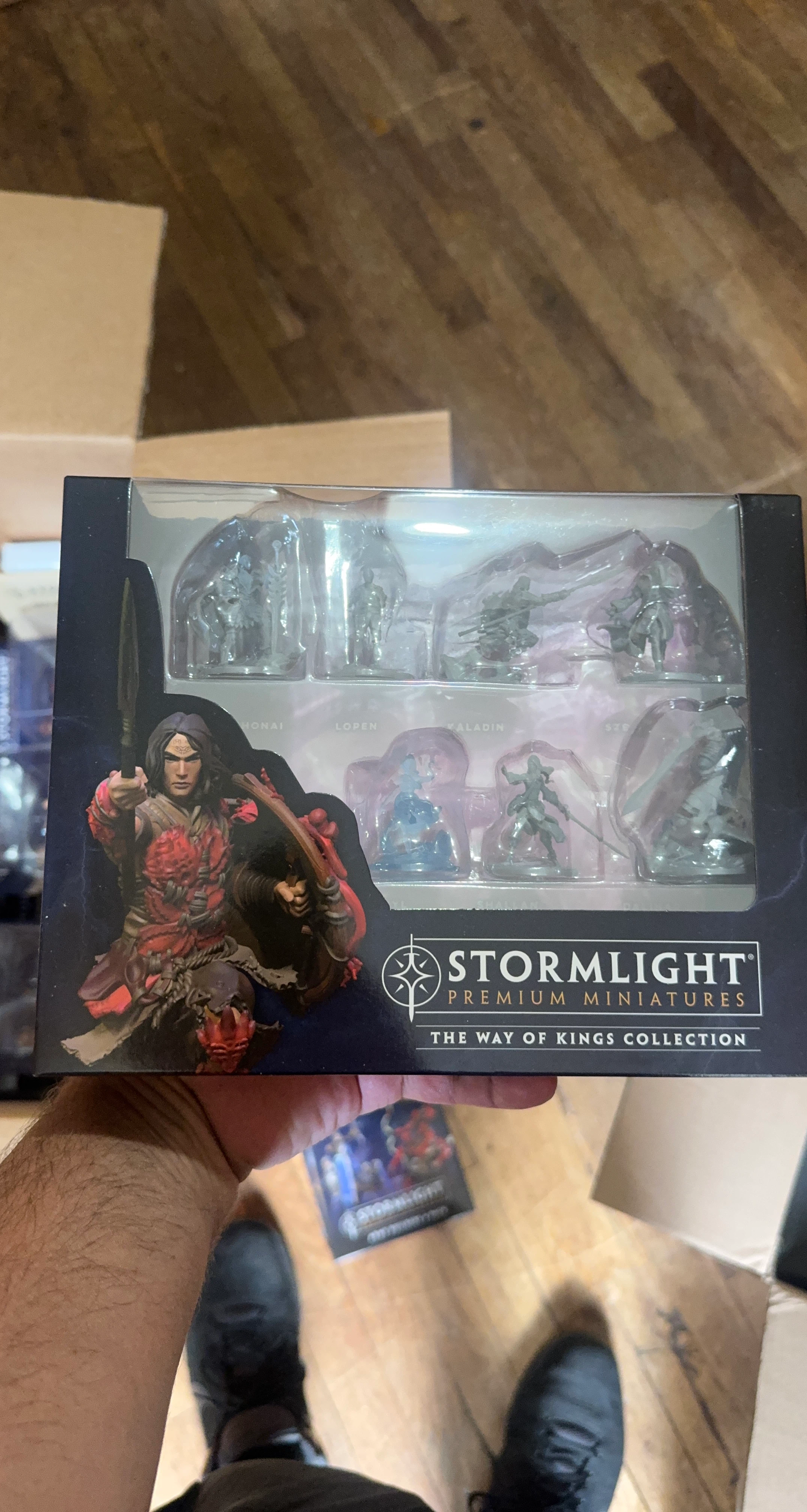 Stormlight Premium Miniatures - The Way of Kings Collection