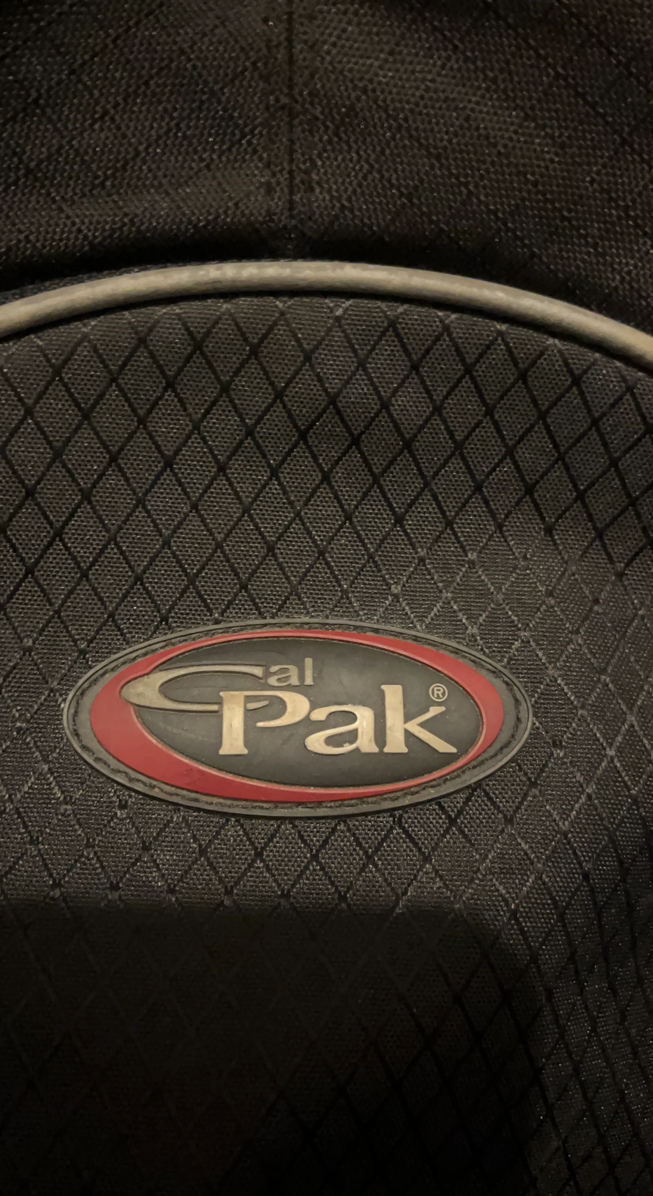 CalPak Backpack