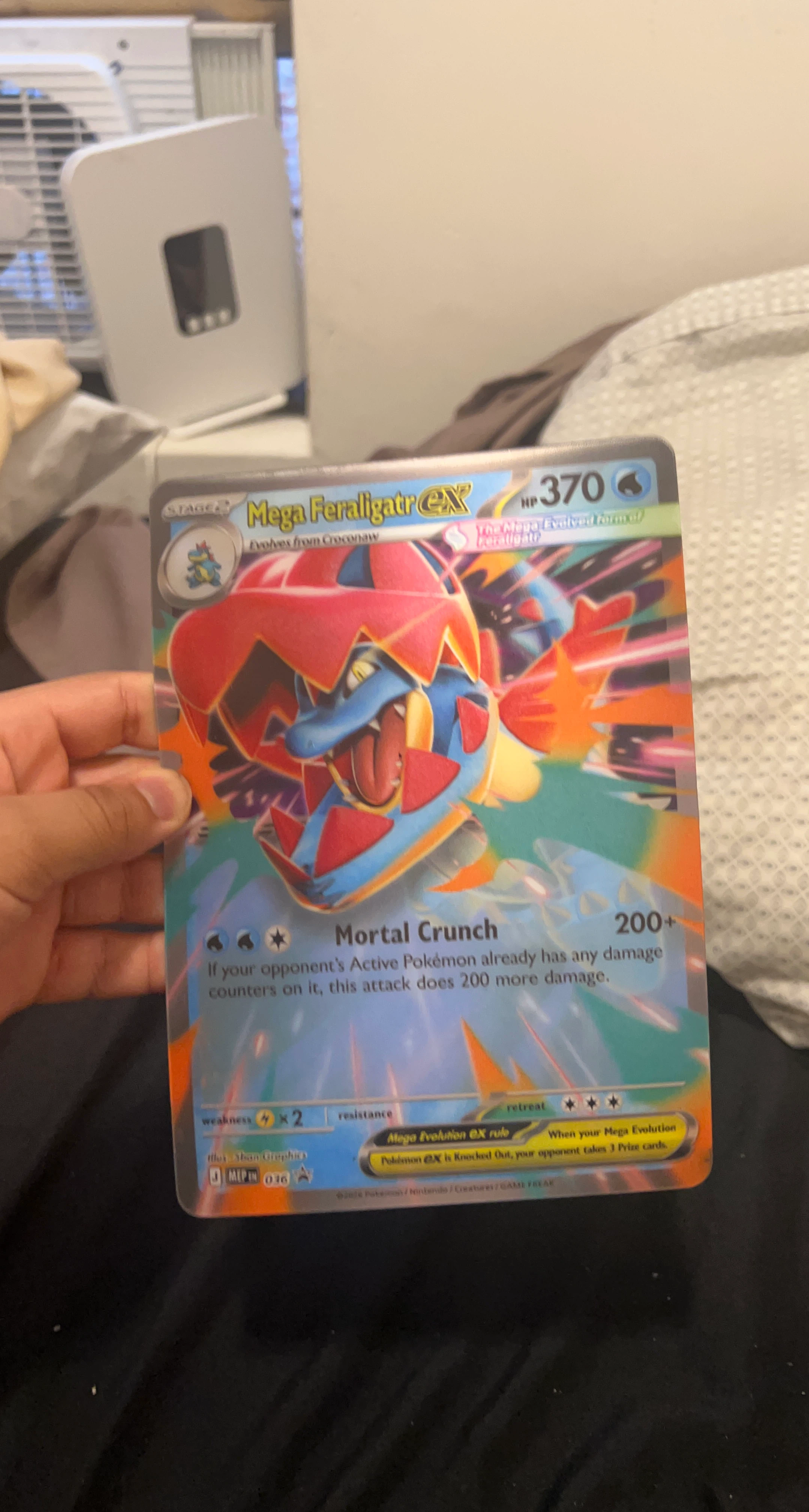 Mega Feraligatr EX Pokemon Card