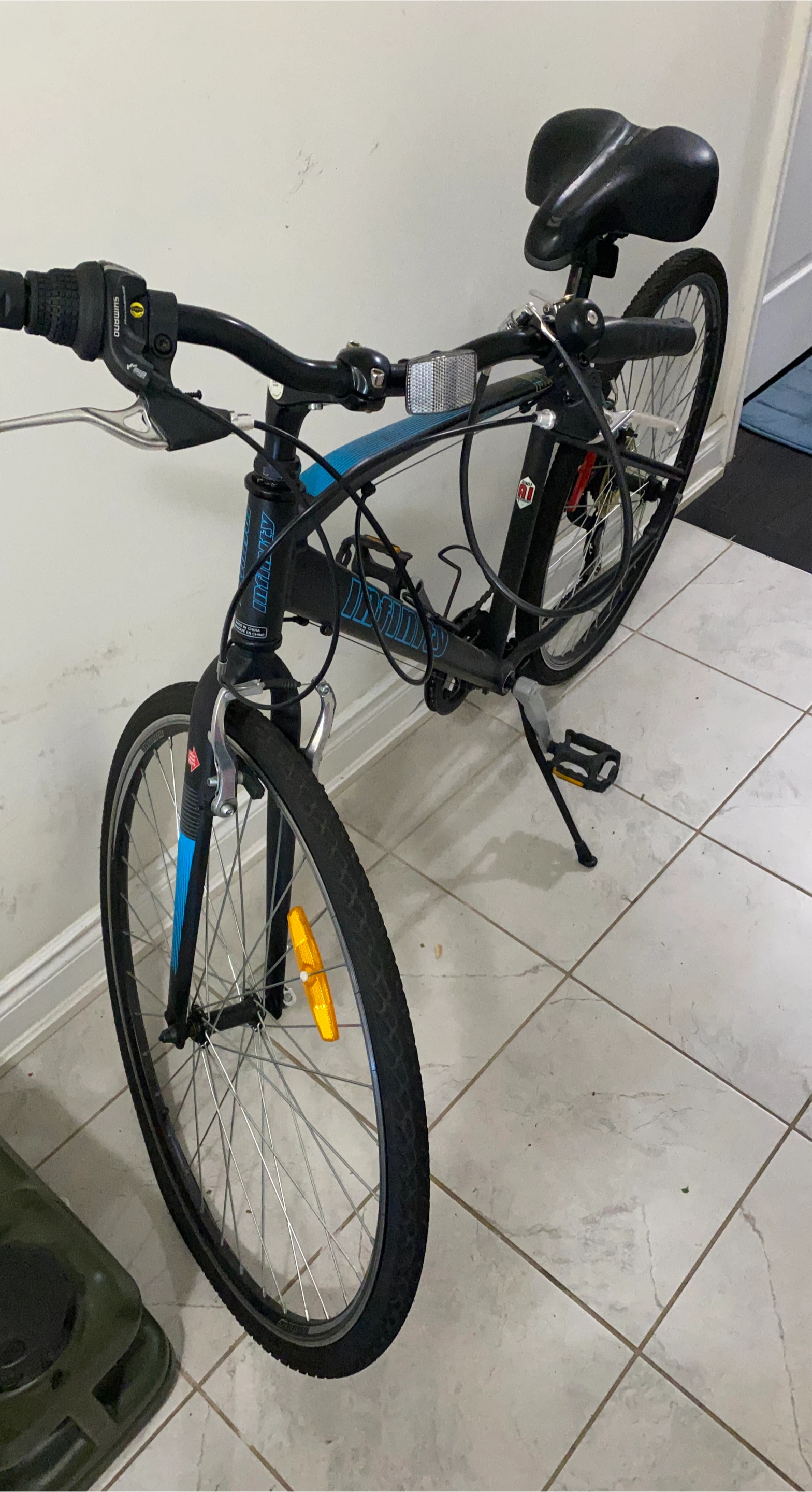 Infinity Hybrid Bike
