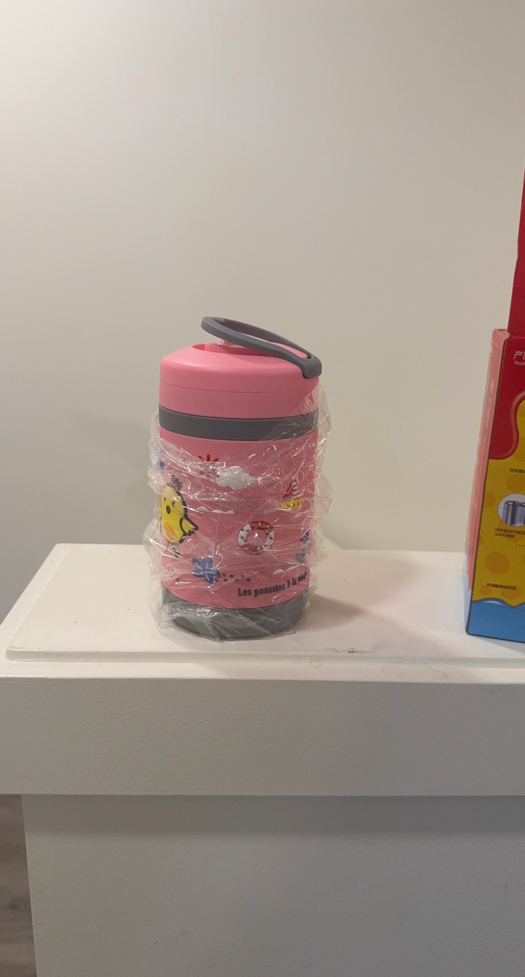 Pink Foodflask