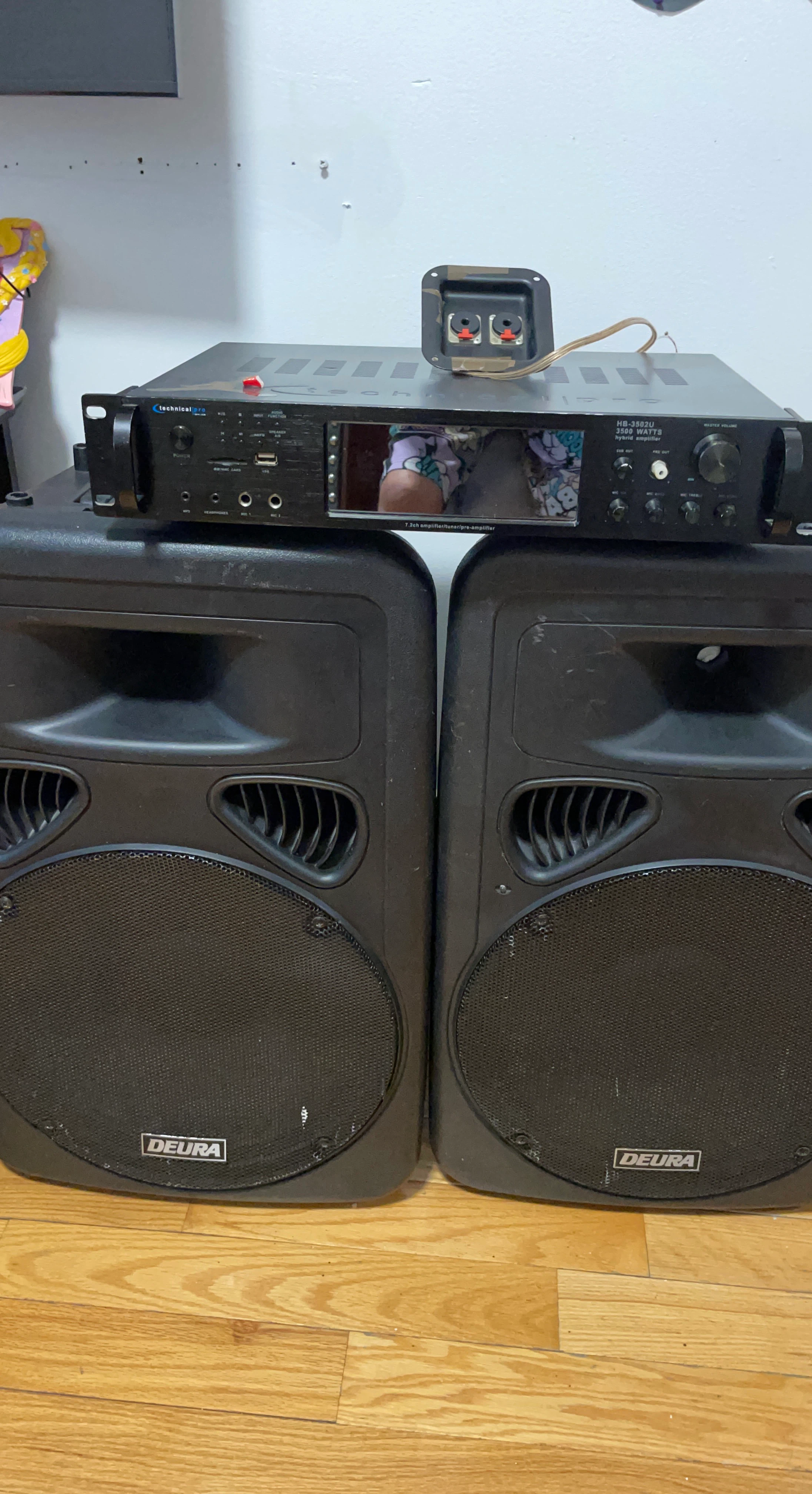 DEURA SB15P 2-Way High Power Passive Speaker