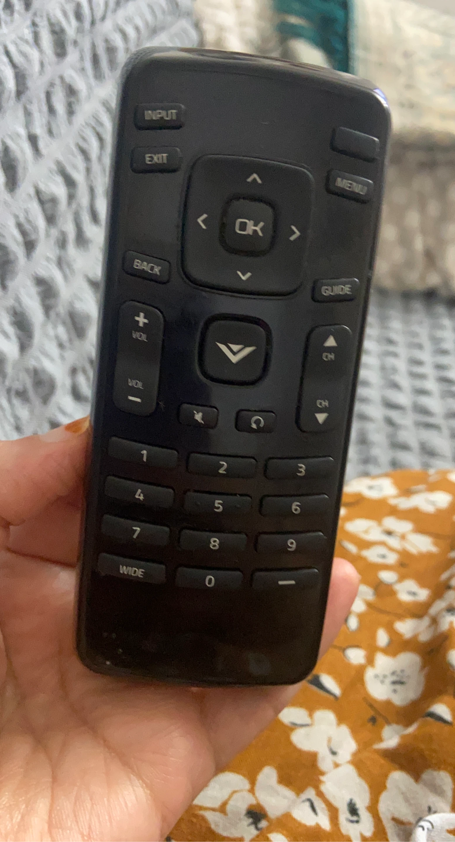 VIZIO TV Remote Control