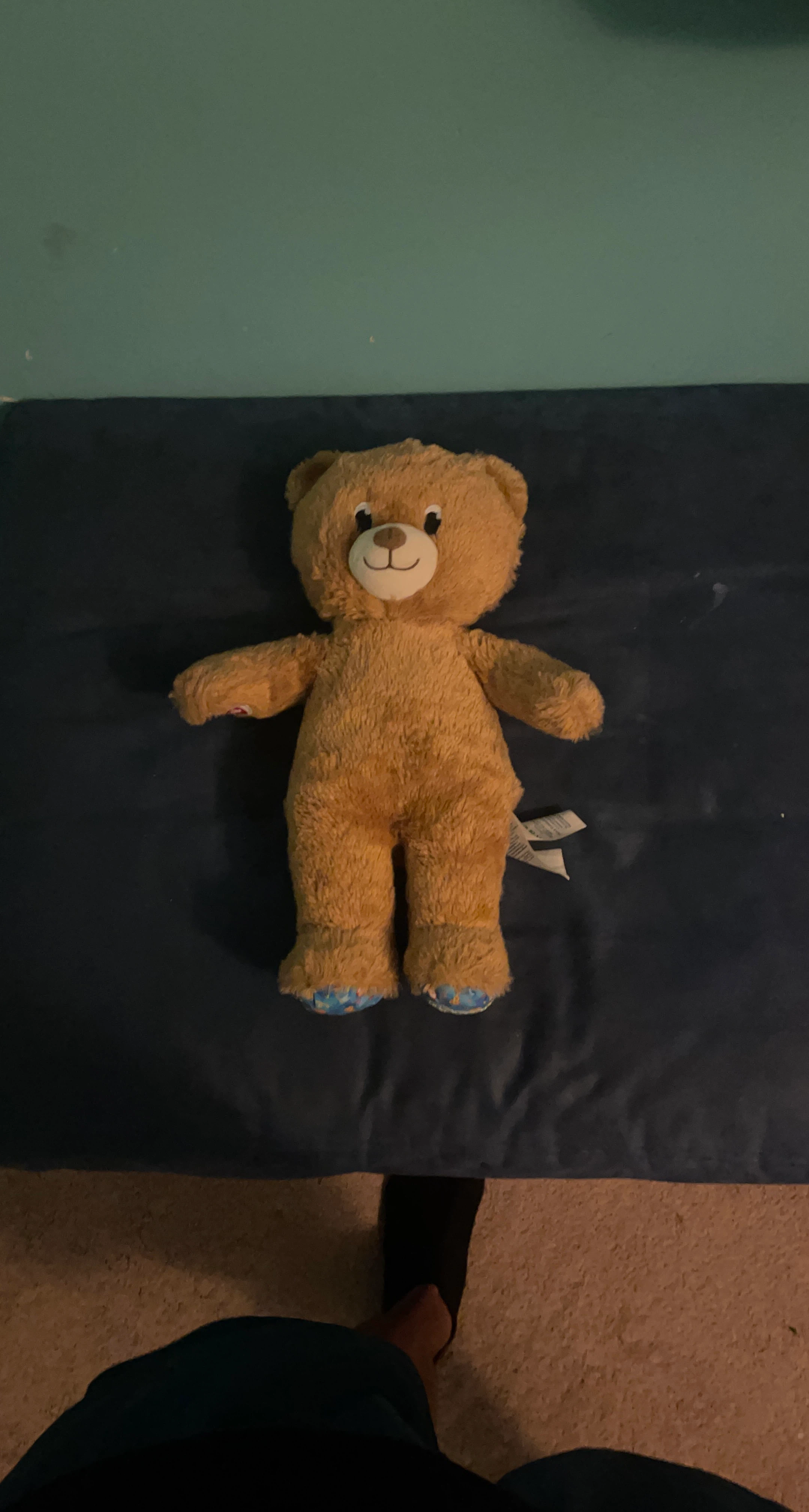Build-A-Bear Workshop Teddy Bear