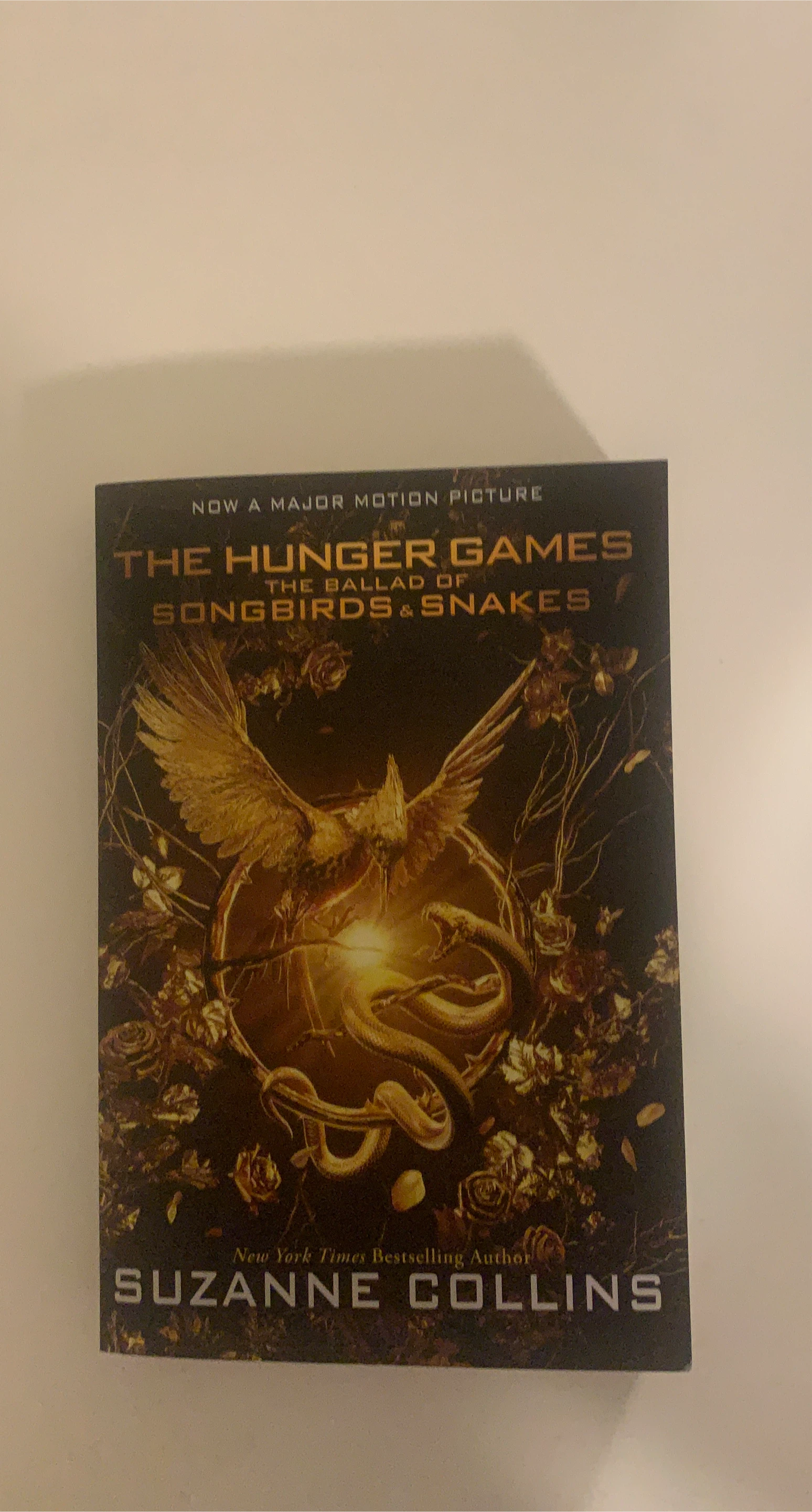 Hunger games The ballad of songbird and snakes