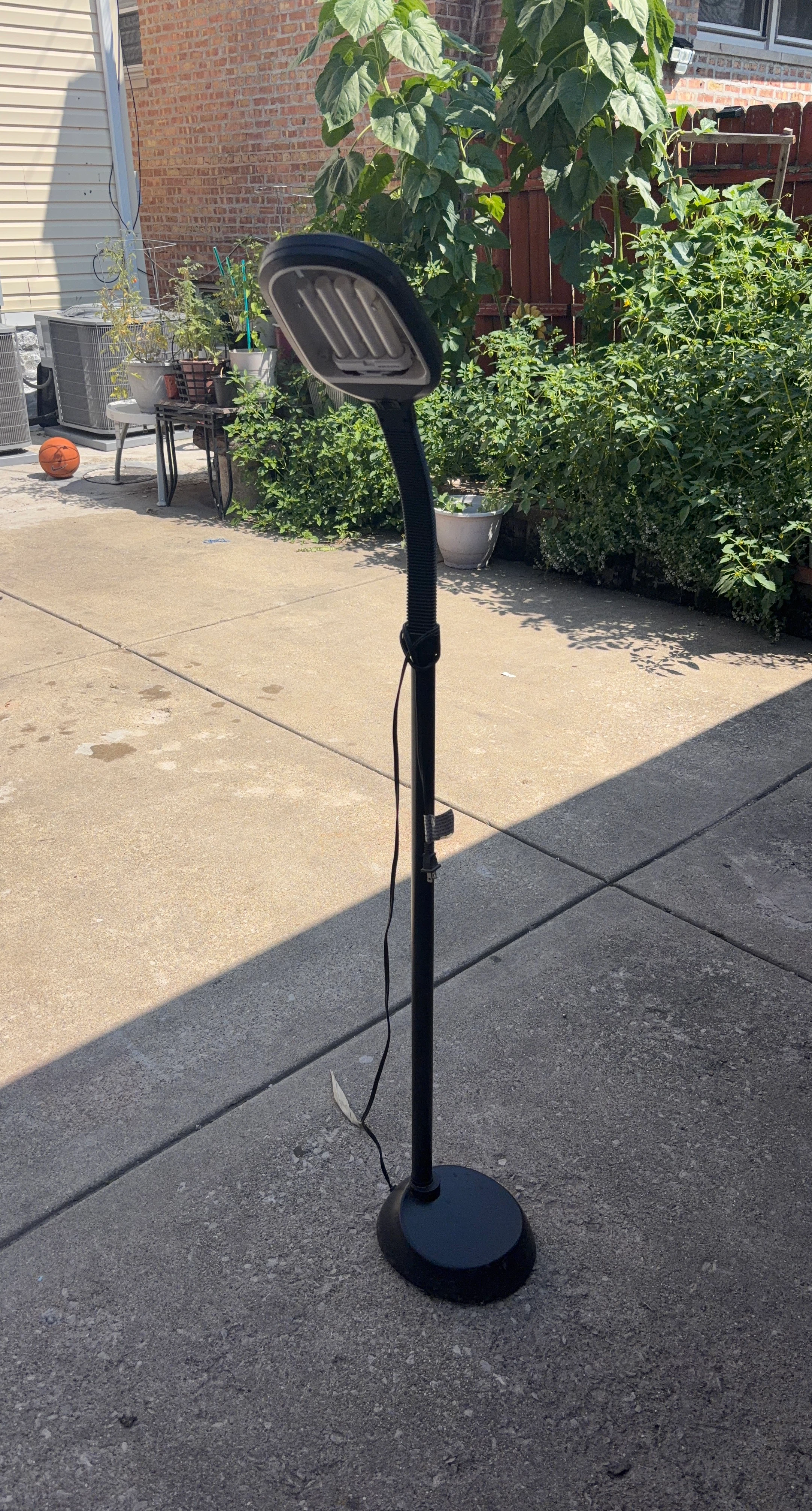 Black Floor Lamp with Flexible Neck