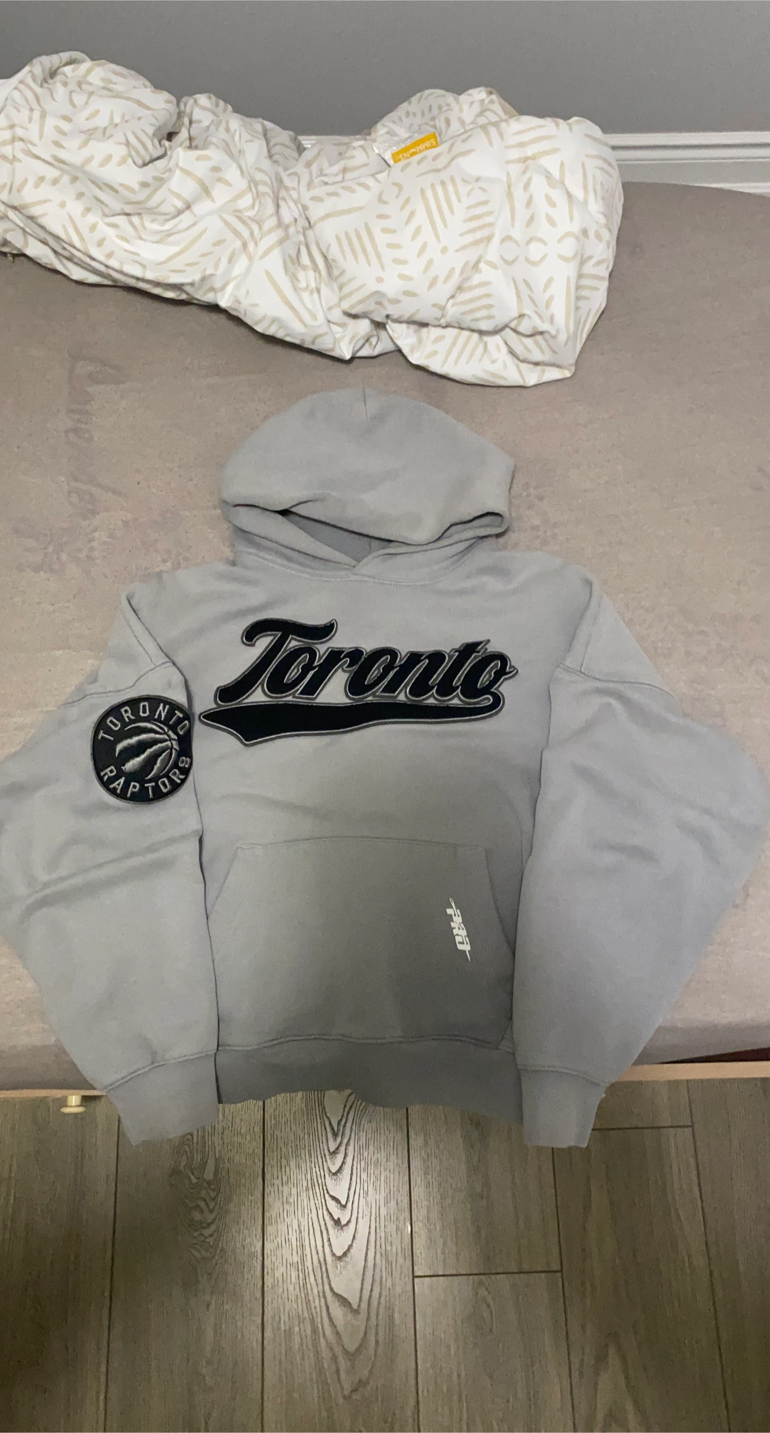 PRO STANDARD Toronto Raptors Hoodie