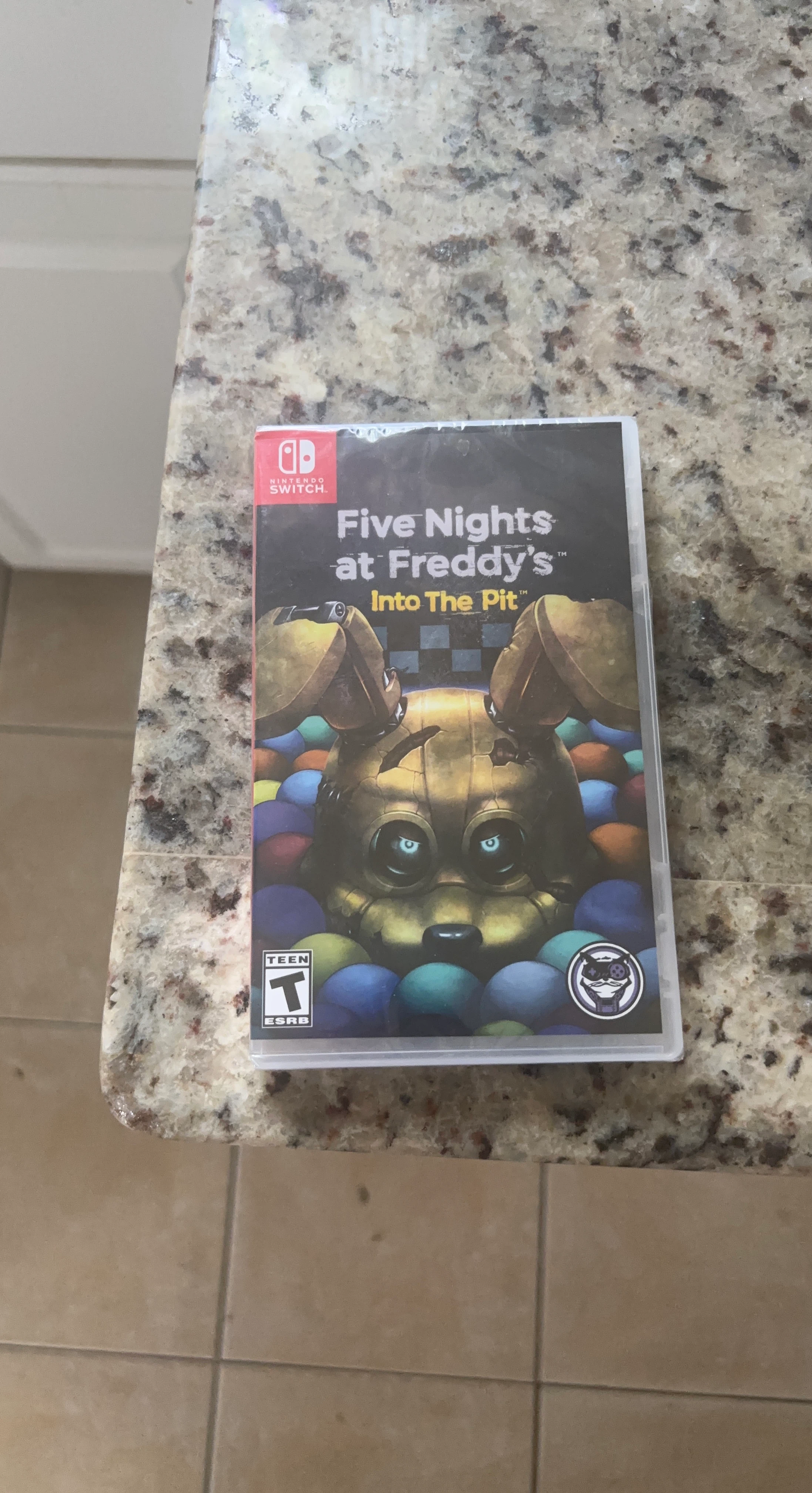 Five Nights at Freddy's: Into The Pit Nintendo Switch Game