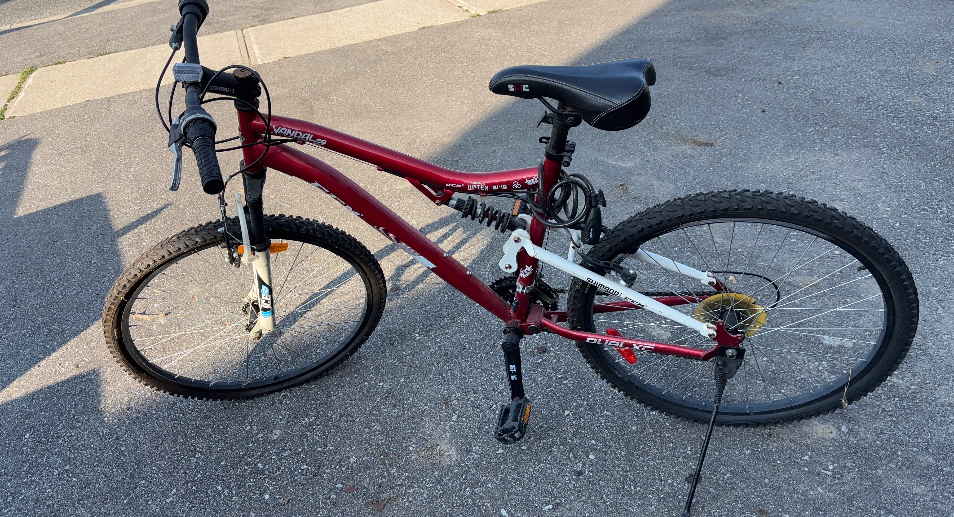 Vandal Dual XC Mountain Bike