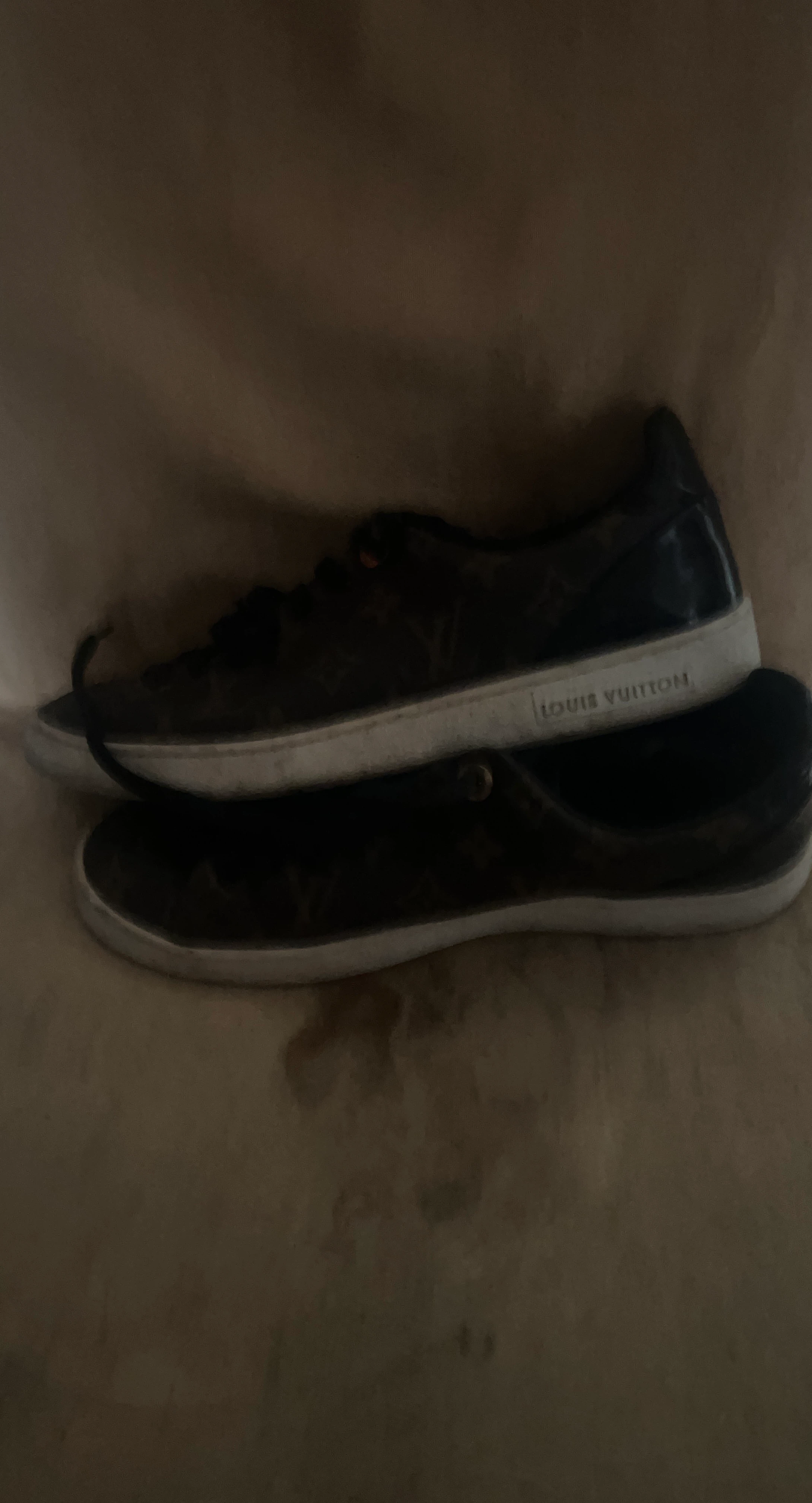 Louis Vuitton Sneakers
