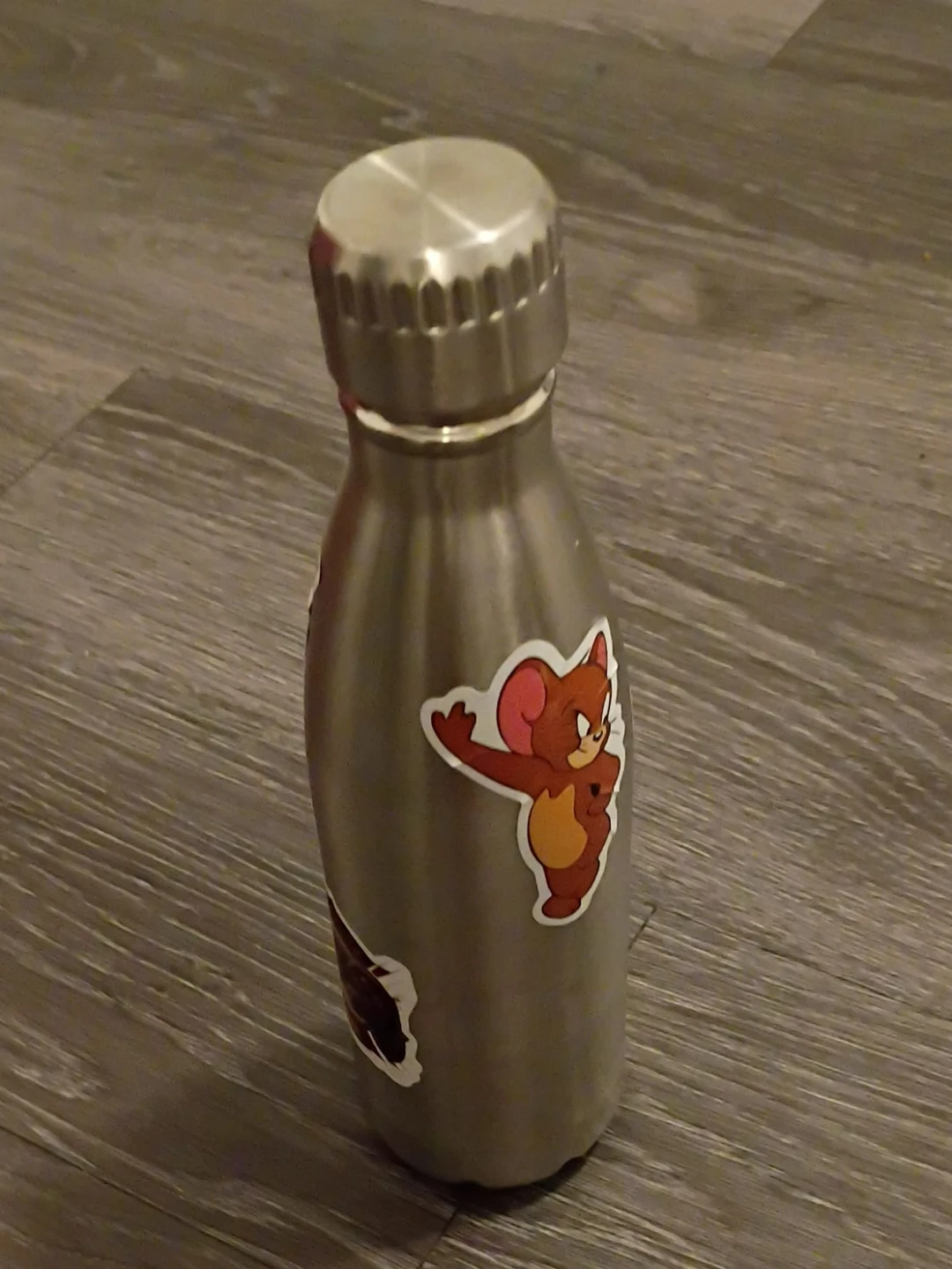 Stainless Steel Water Bottle with Tom & Jerry Stickers