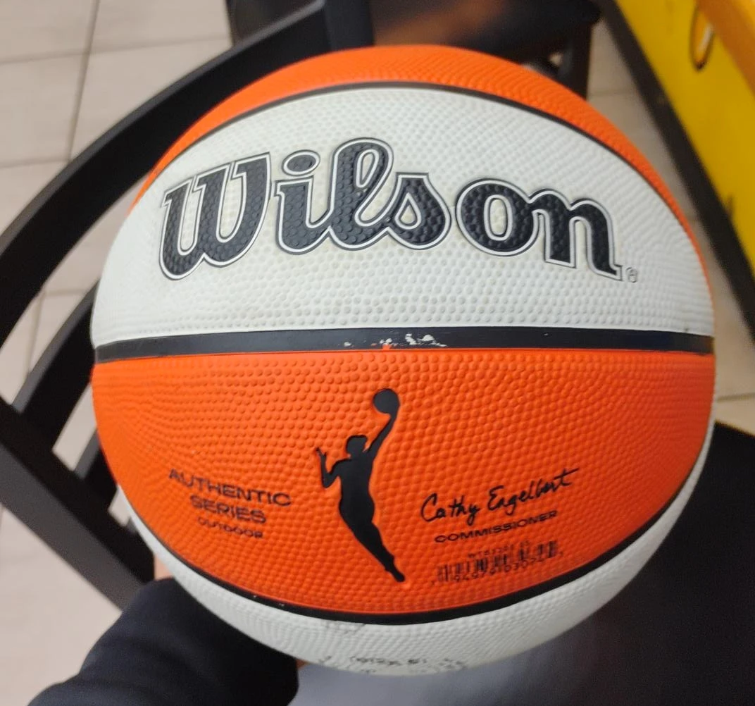 Wilson Authentic Series Outdoor Basketball