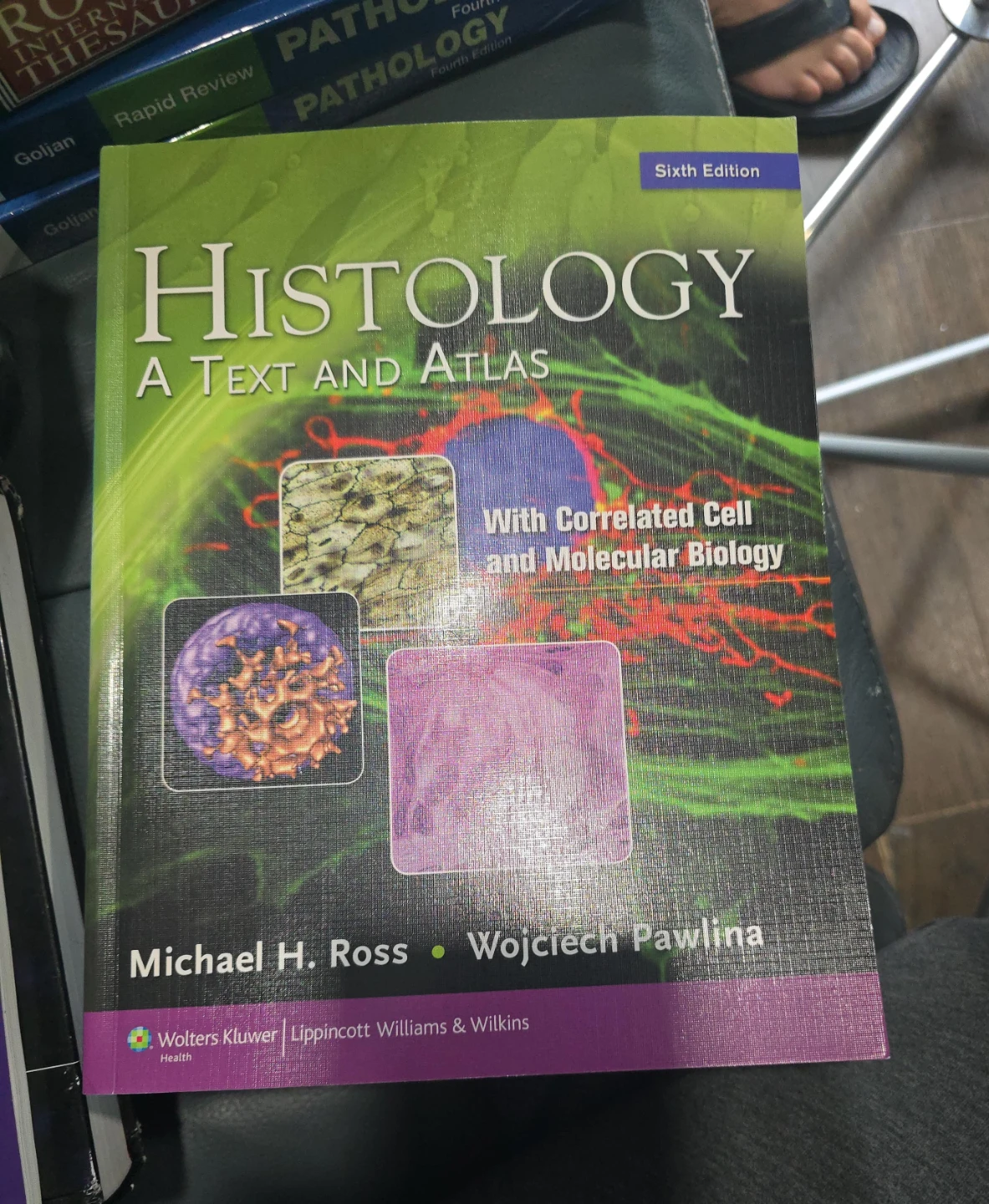 Histology: A Text and Atlas, Sixth Edition