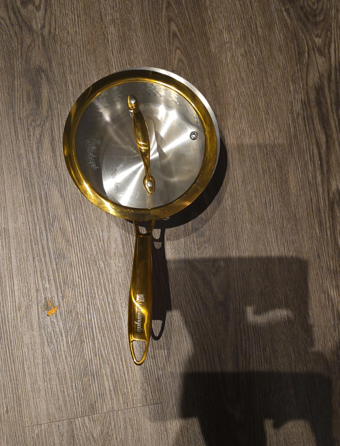 Lagostina Saucepan with Lid