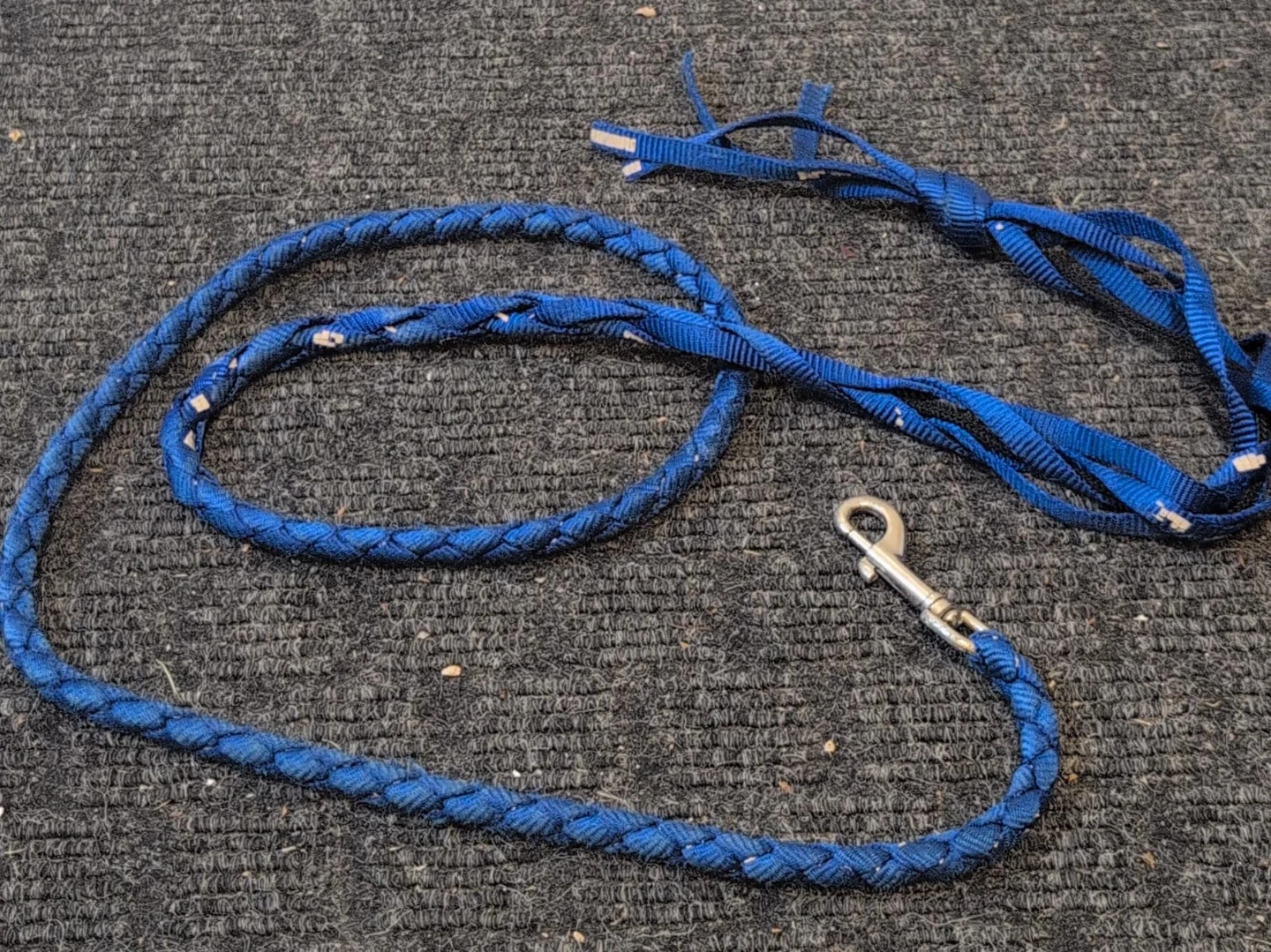 Blue Braided Dog Leash