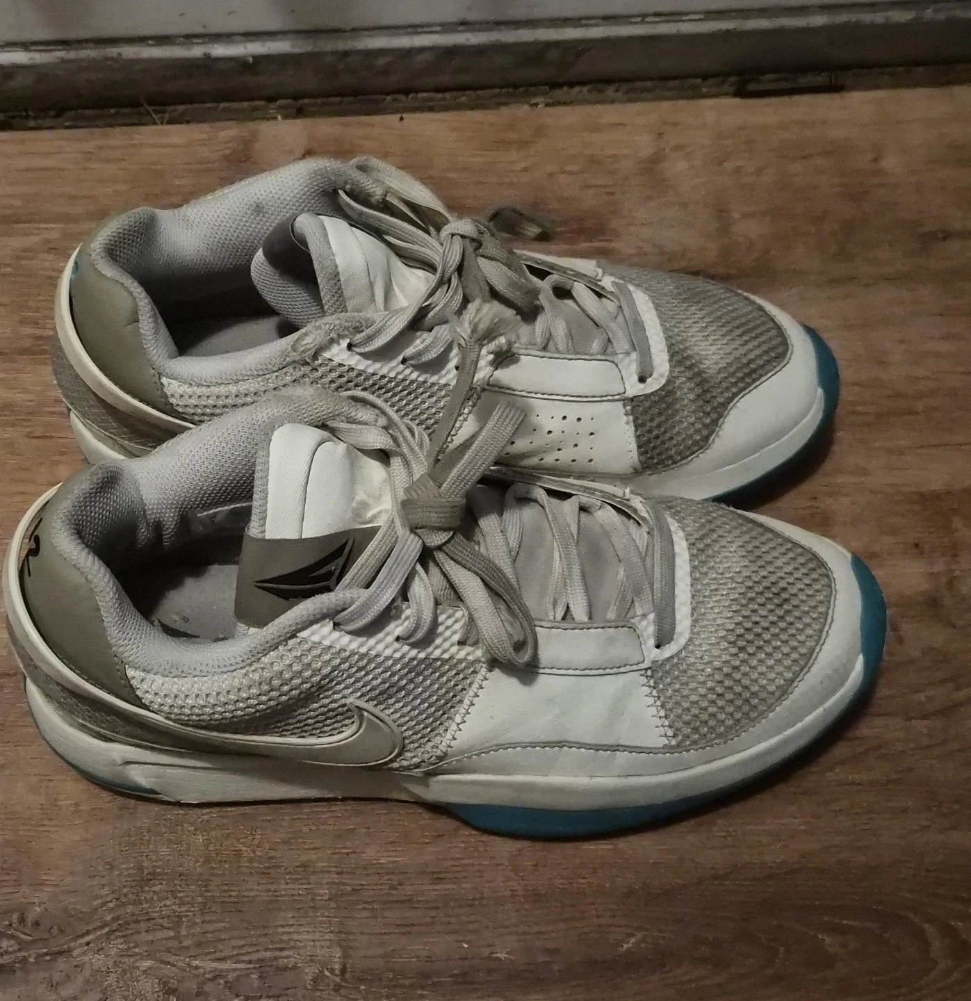 Nike Men's White & Grey Tennis Shoes