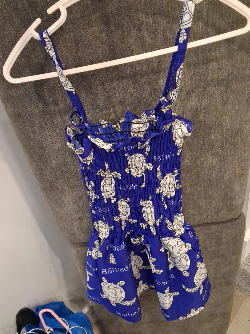 Blue Turtle Smocked Romper