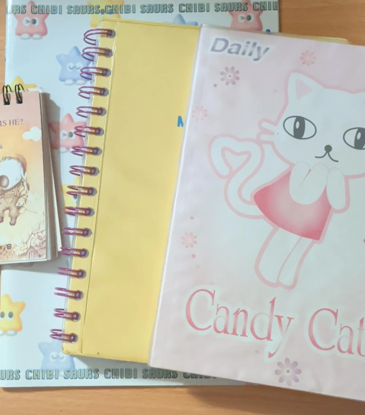 Set of New Blank Notebooks