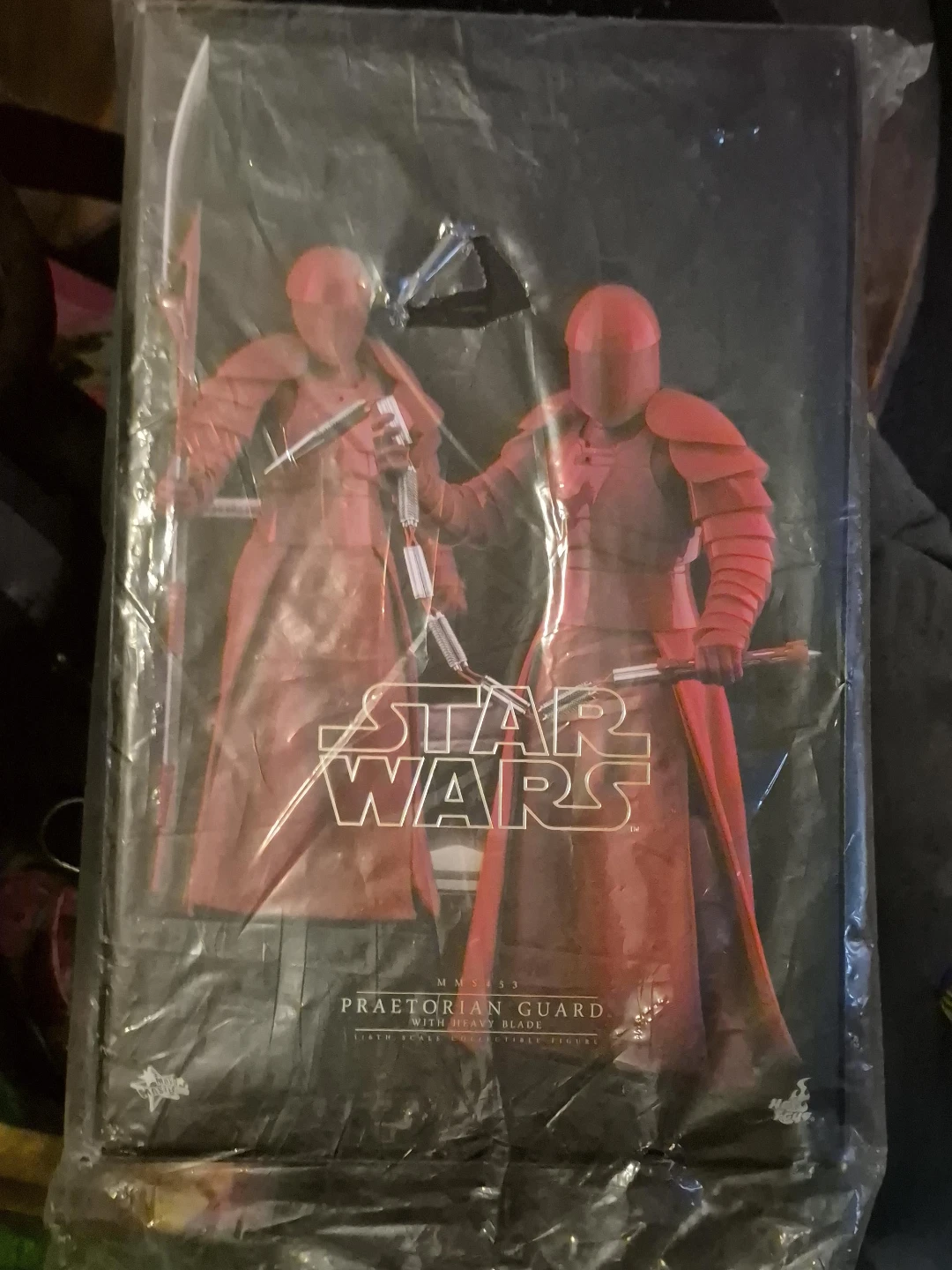 Star Wars Praetorian Guard with Double Blade Collectible Figure