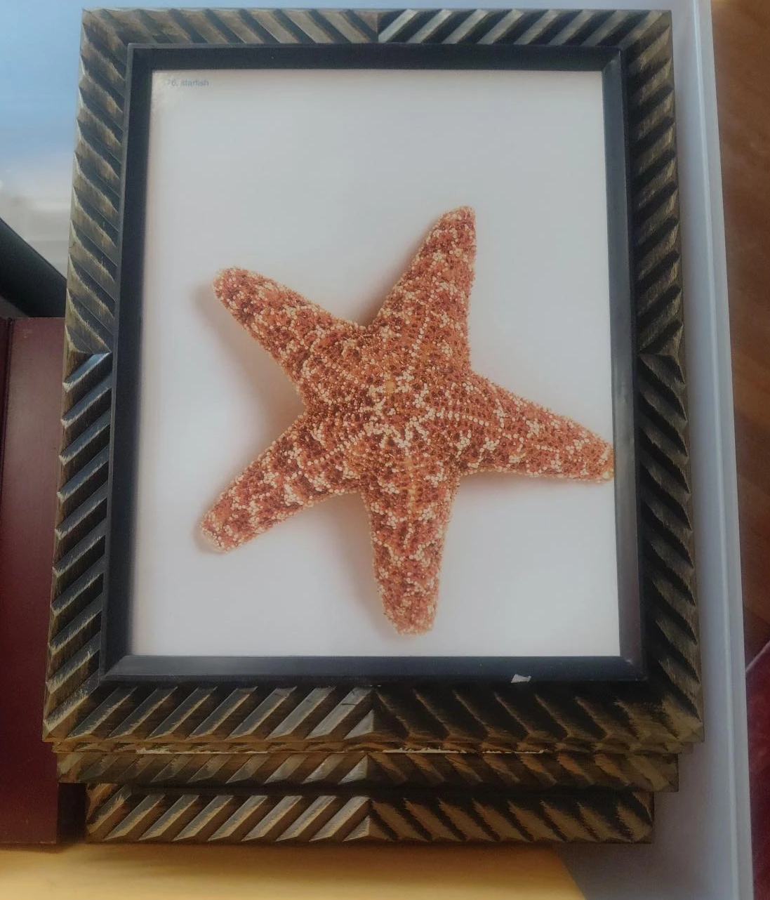 Framed Starfish Wall Art